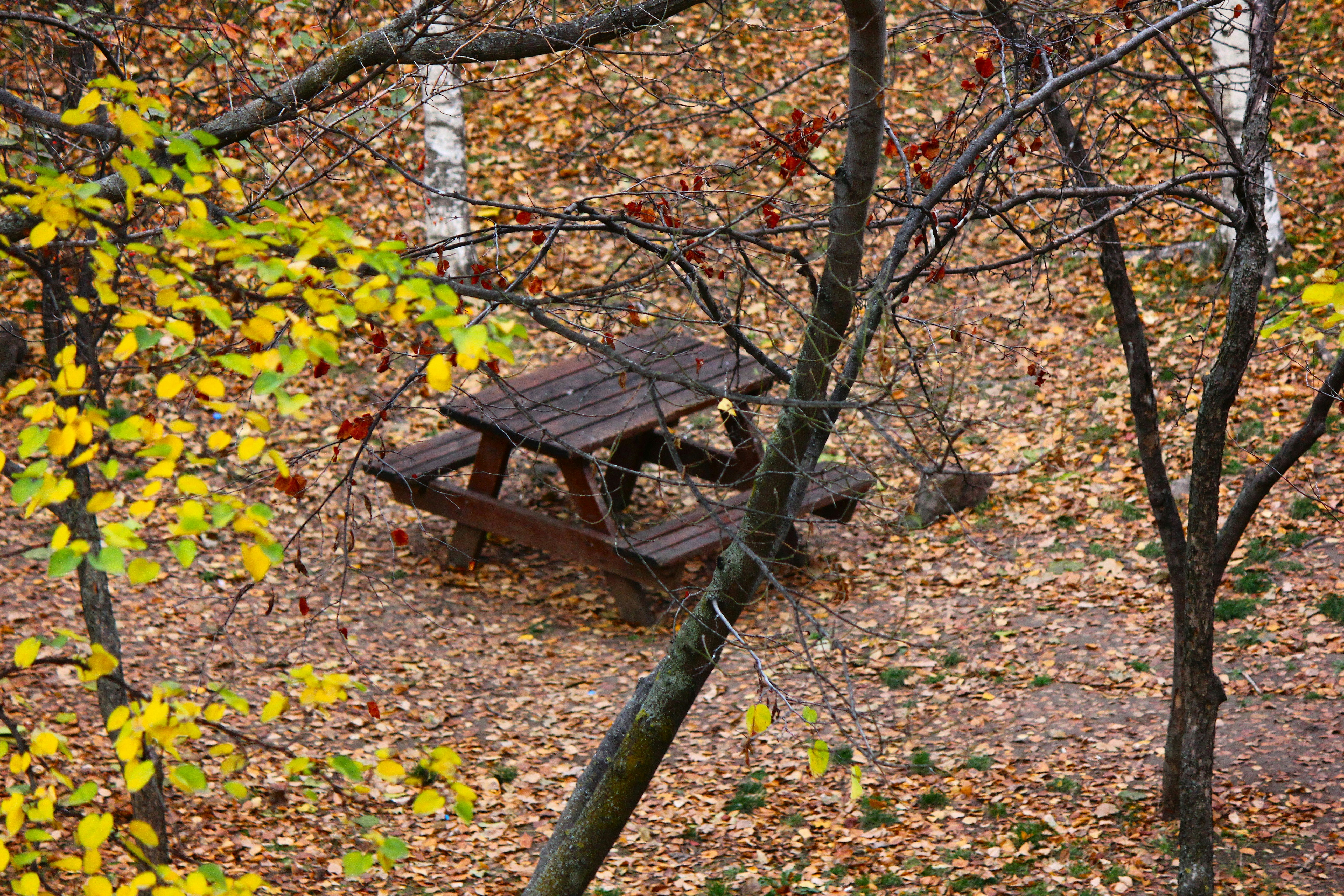 Photo by cengizozarpat