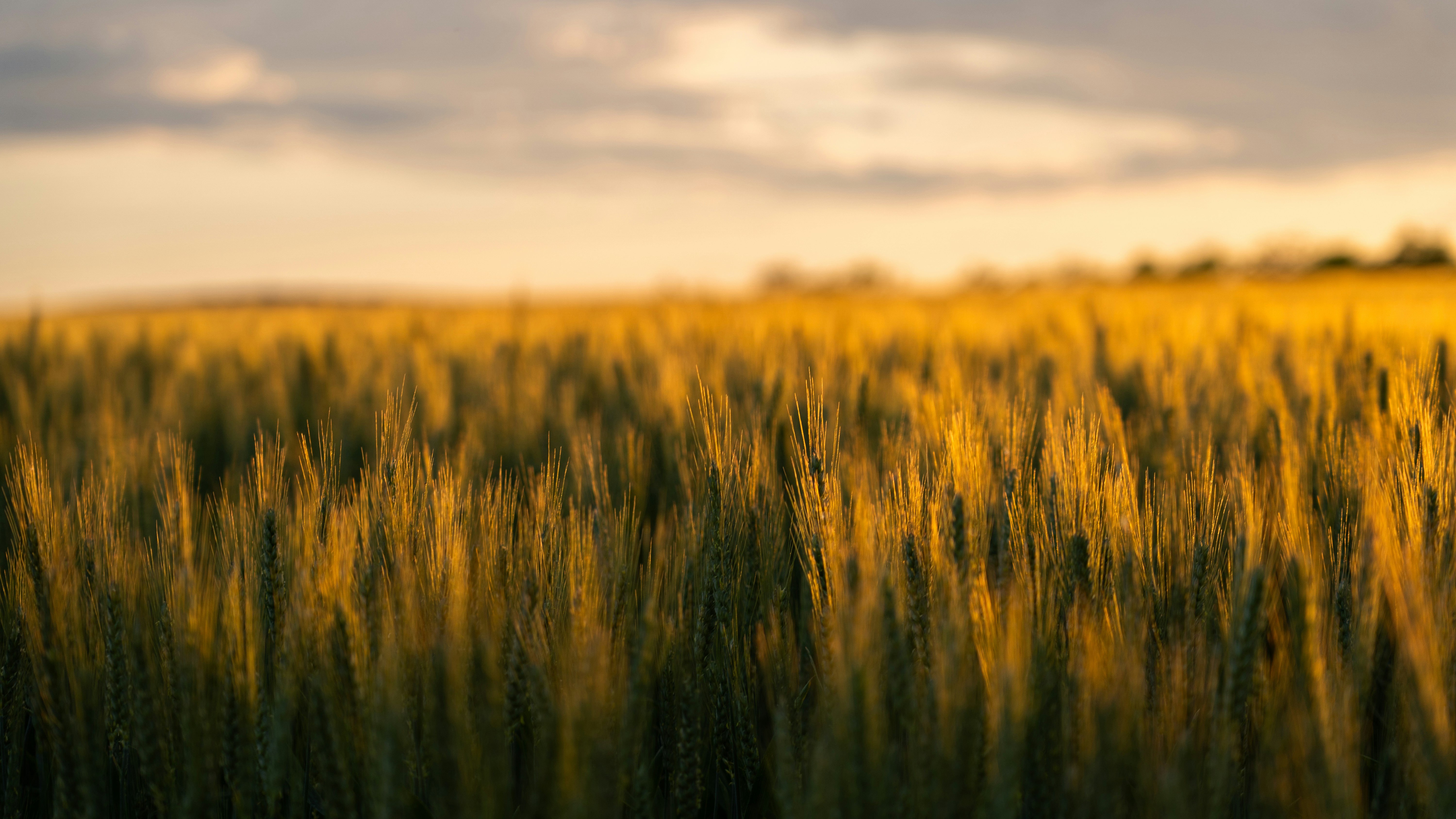 Photo by holubfabian