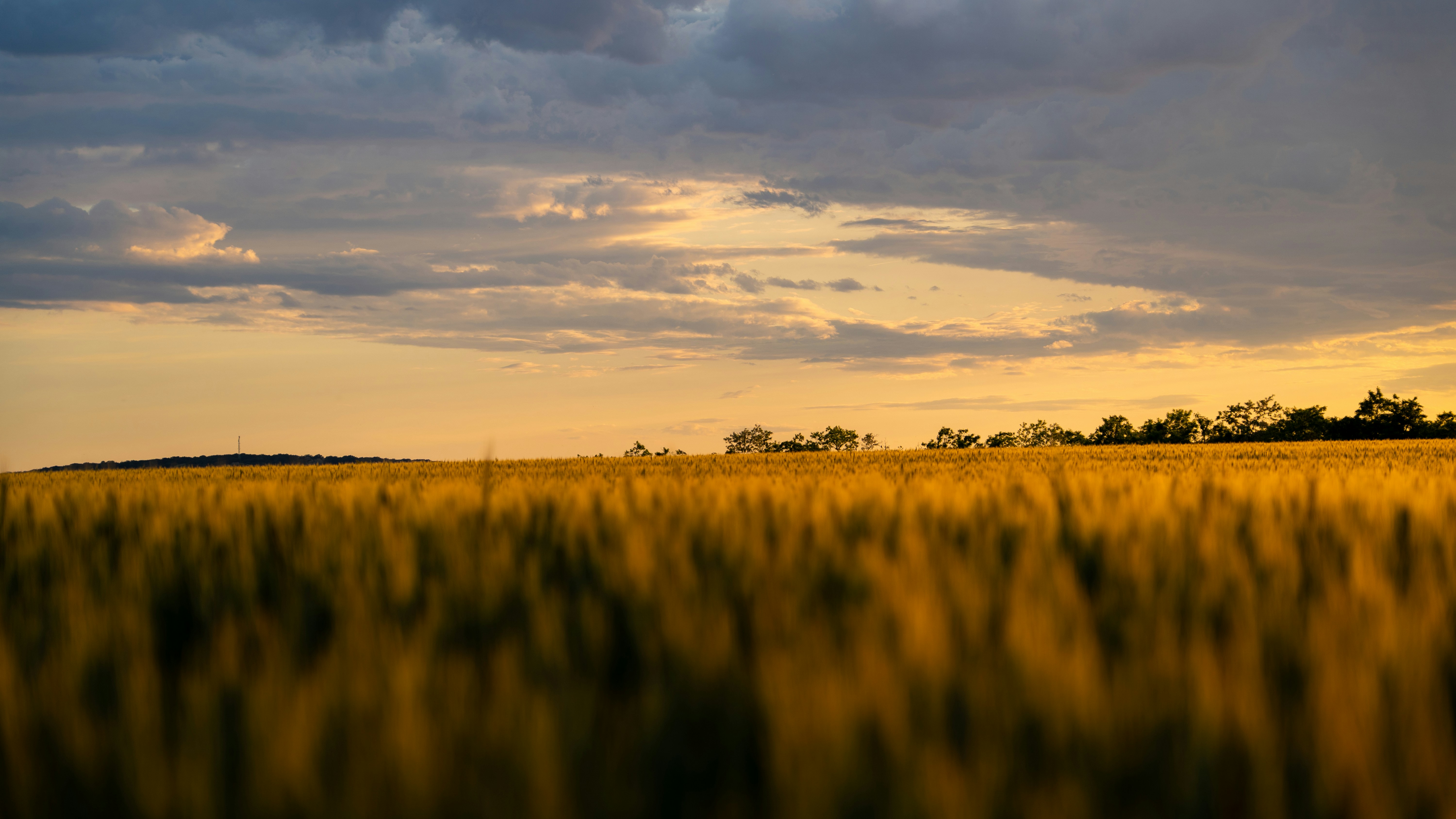 Photo by holubfabian