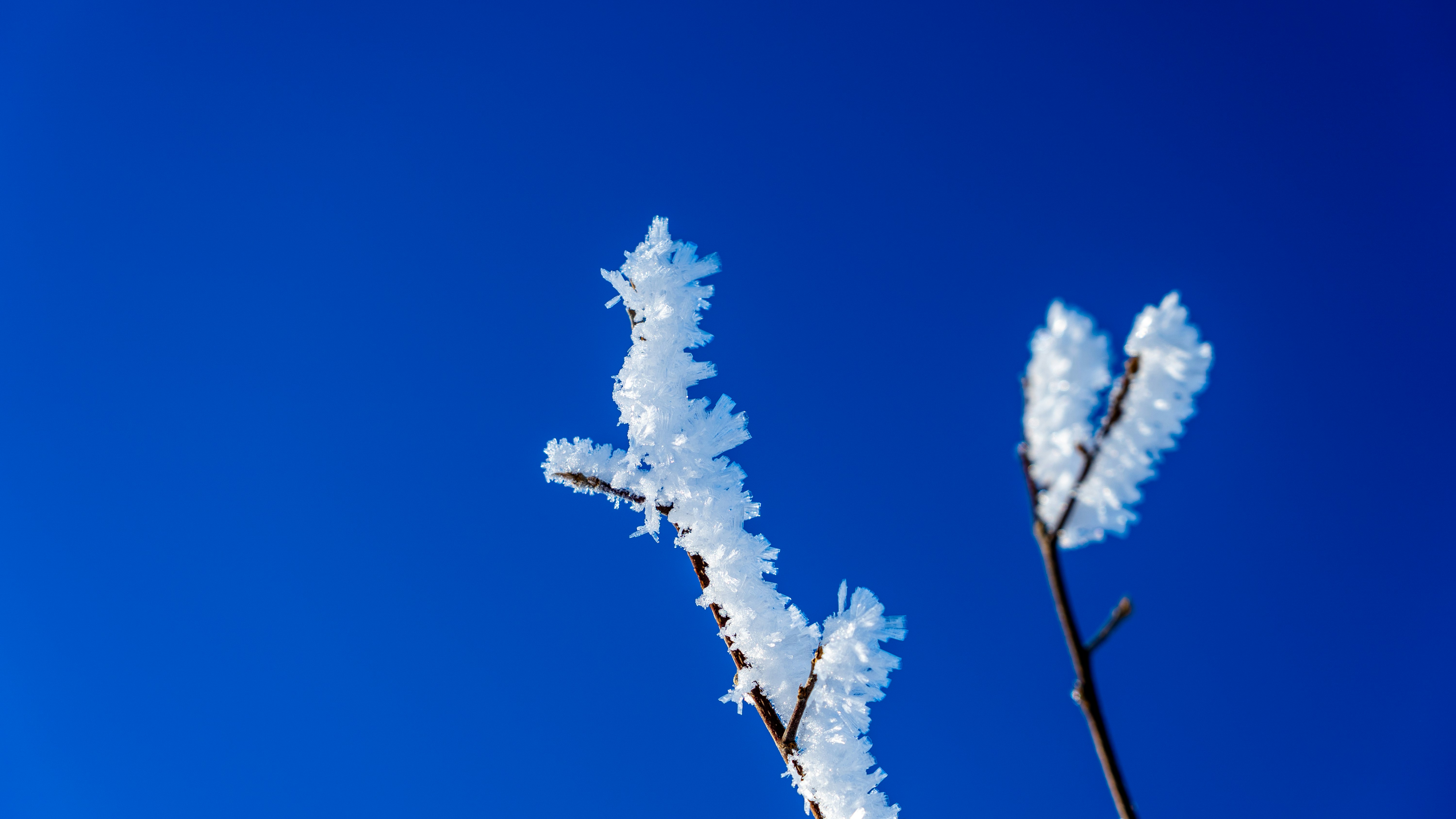 Photo by holubfabian