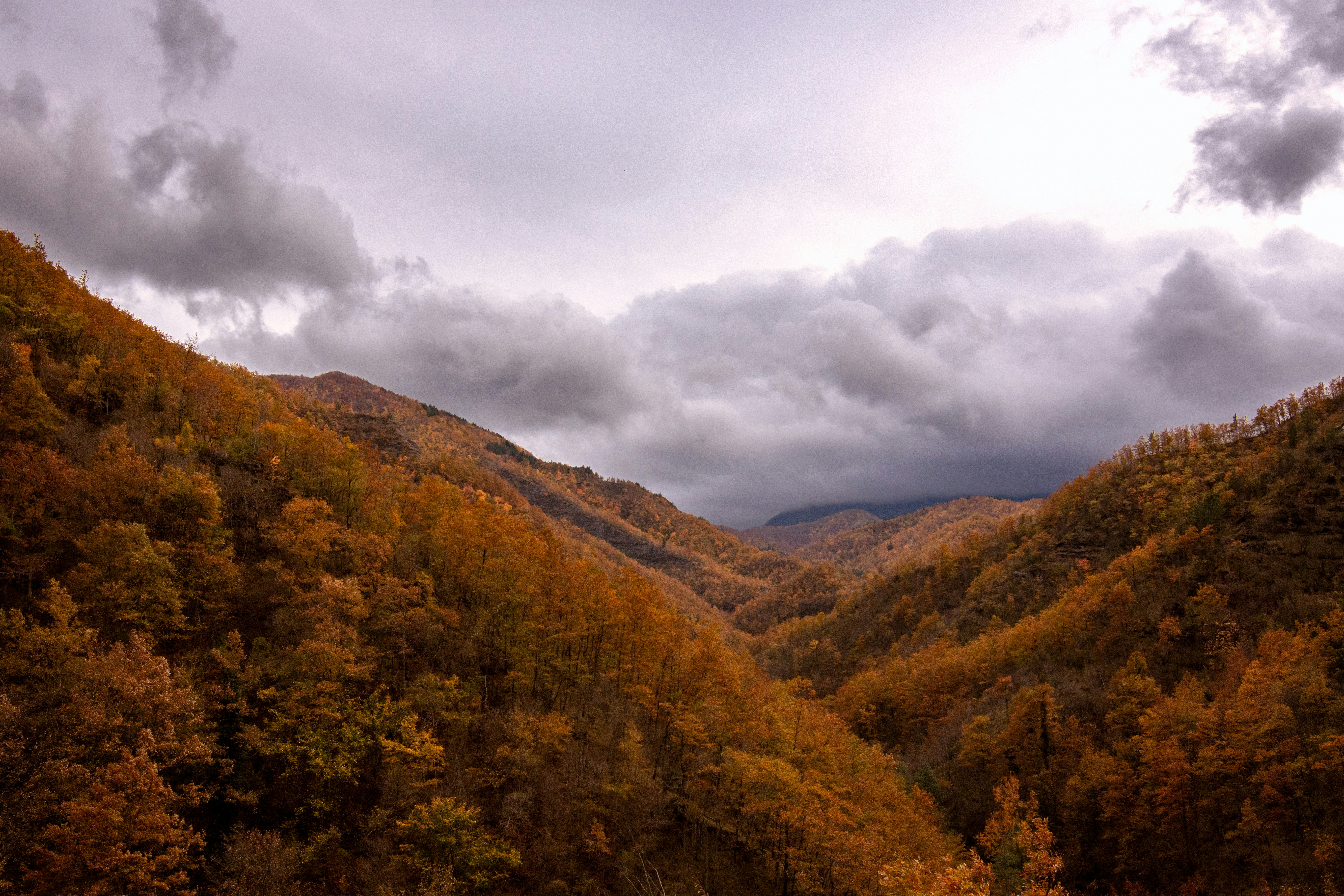 Image by Paolo Bendandi via Unsplash