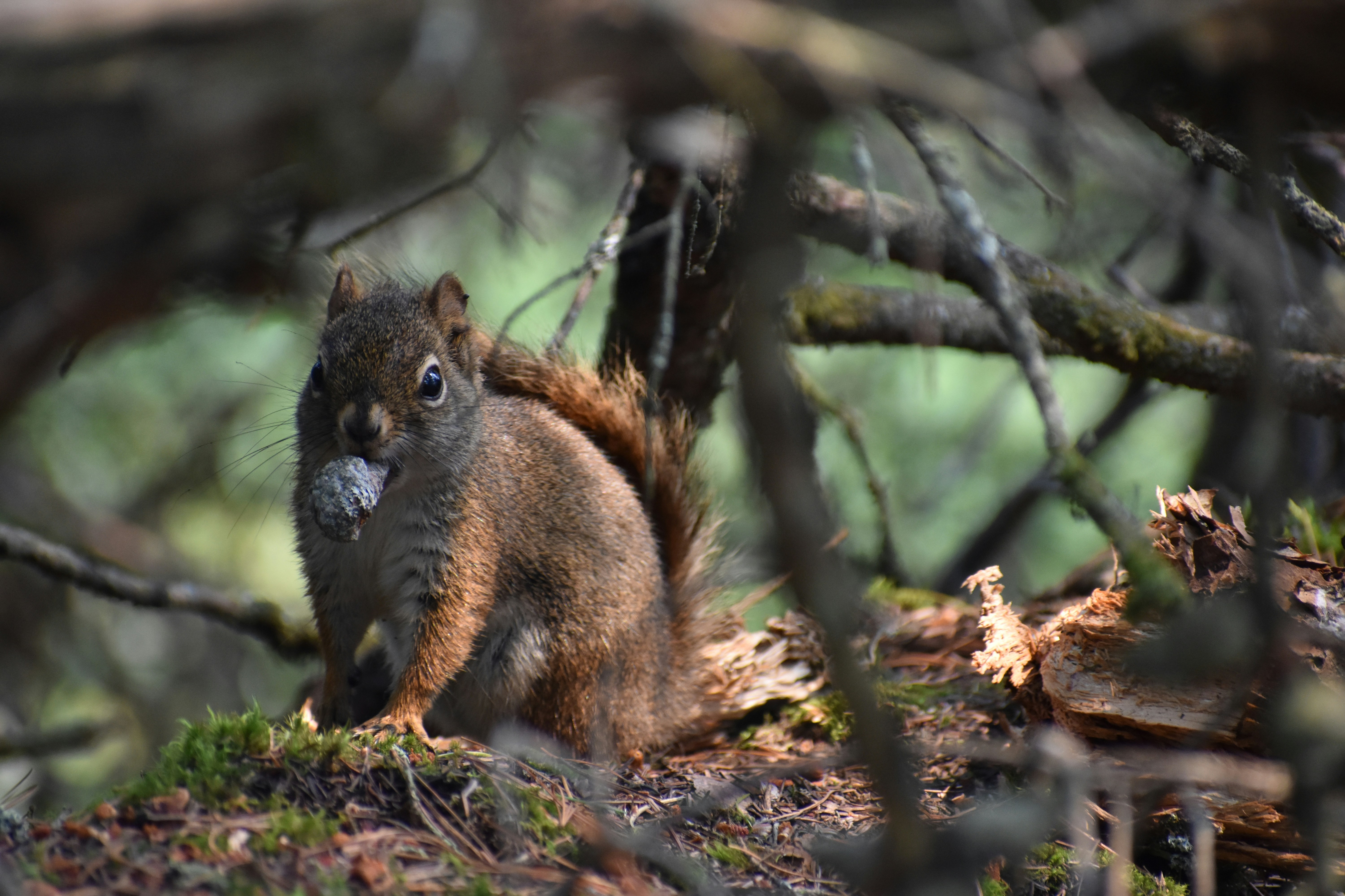 Photo by andrewrobinson1