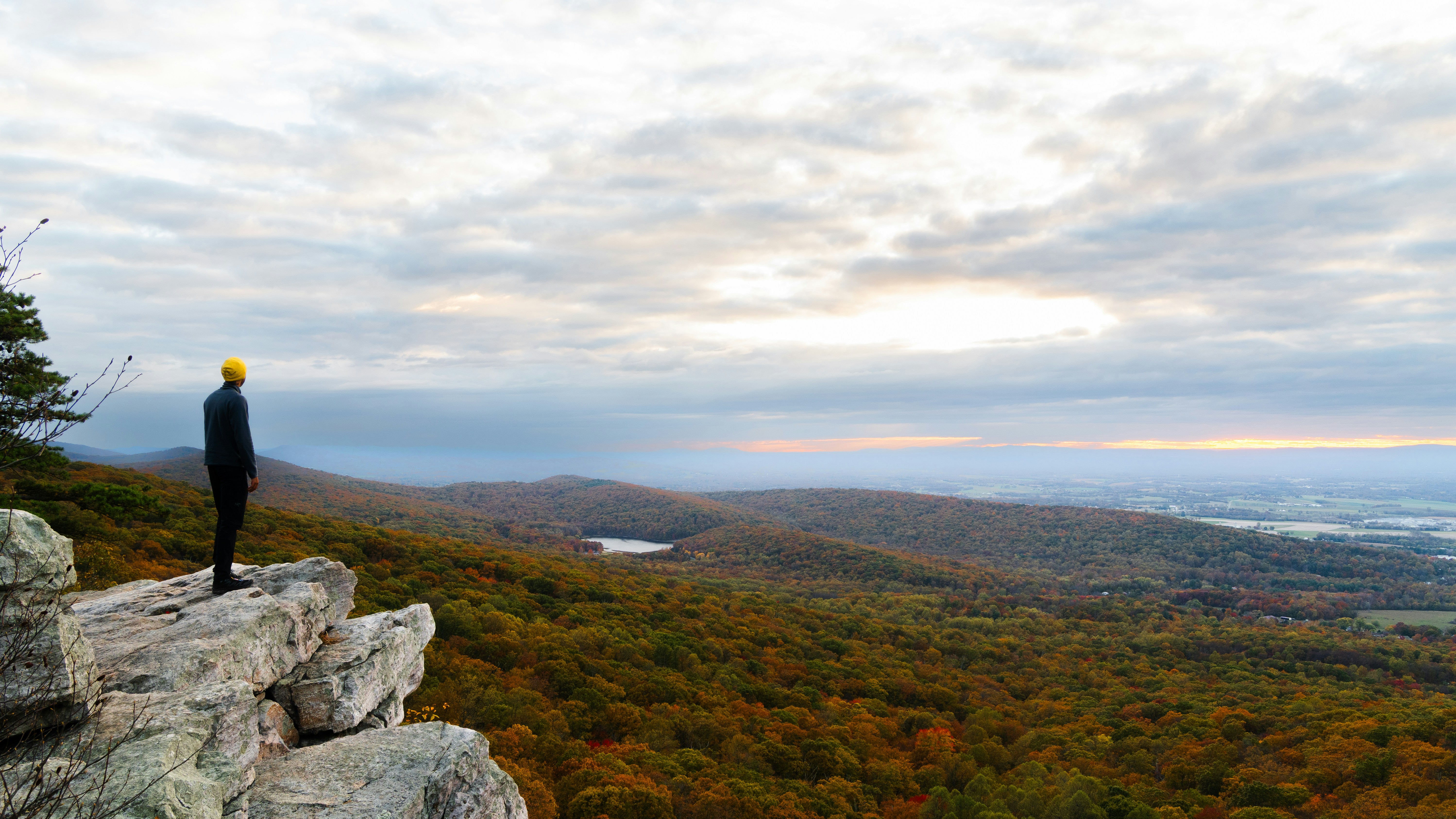 Person standing on cliff overlooking autumn forest