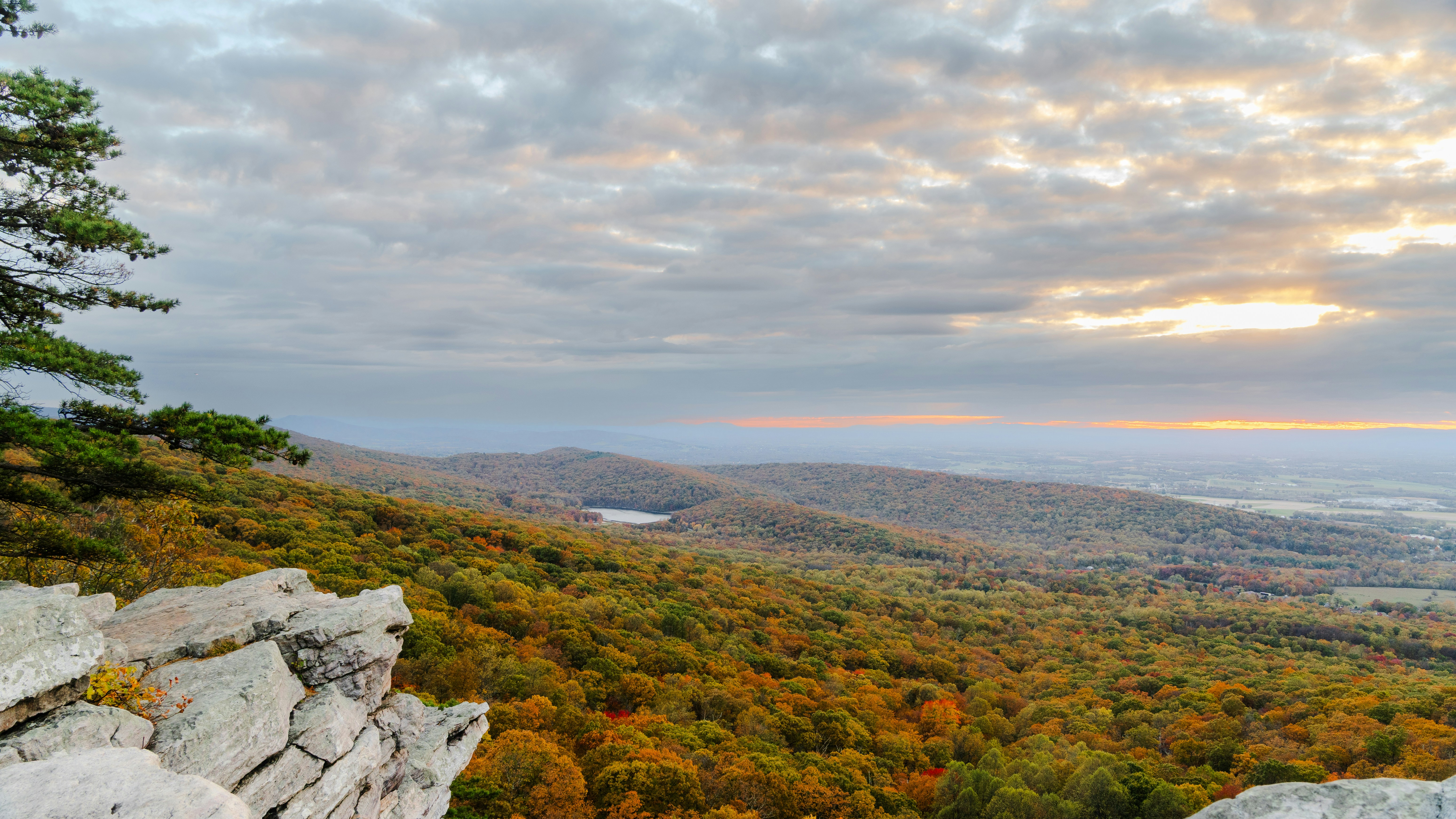 Autumn forest landscape with rocky foreground and cloudy sky