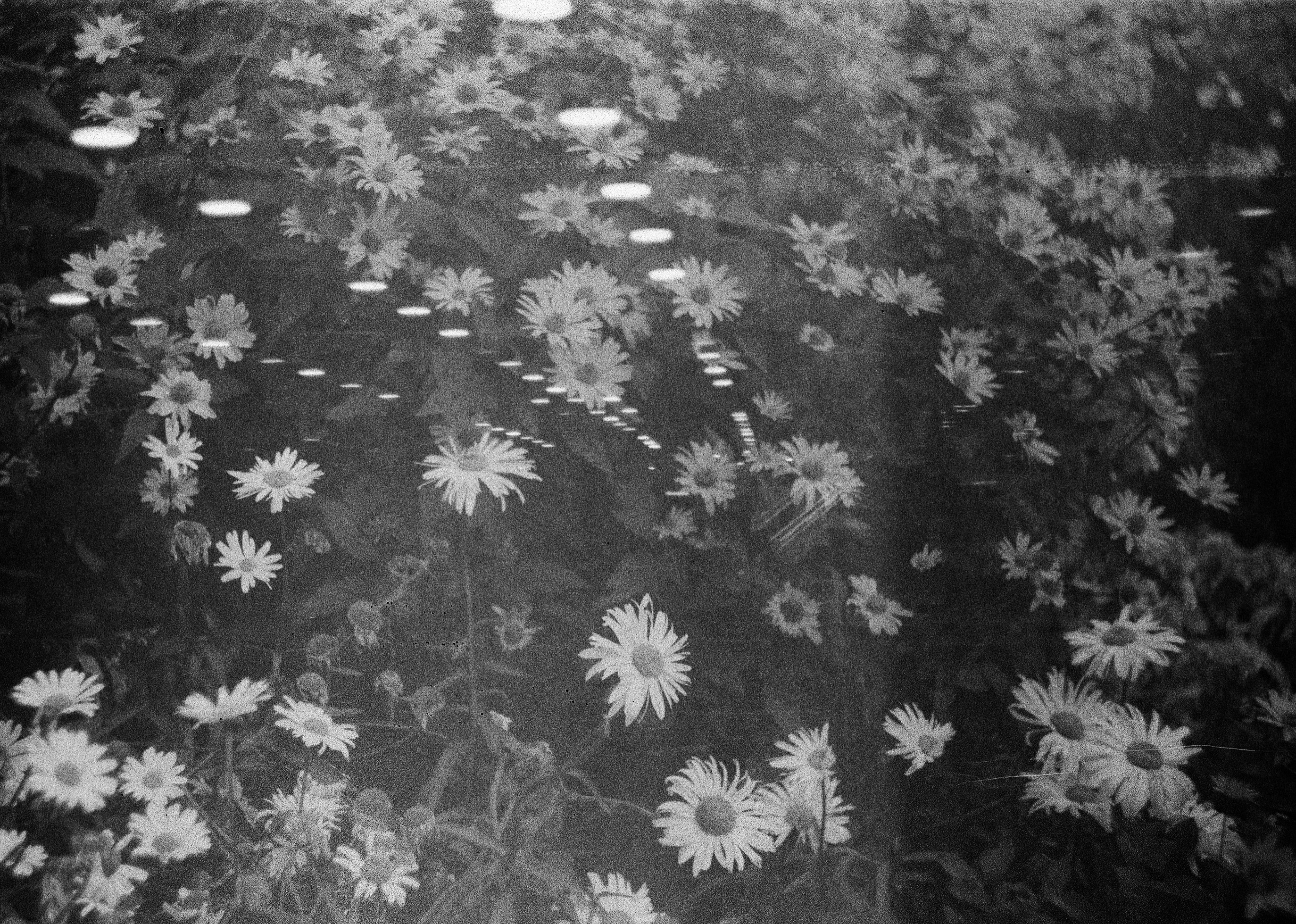 Key Differences Between Functional And Conventional Rheumatology Explained