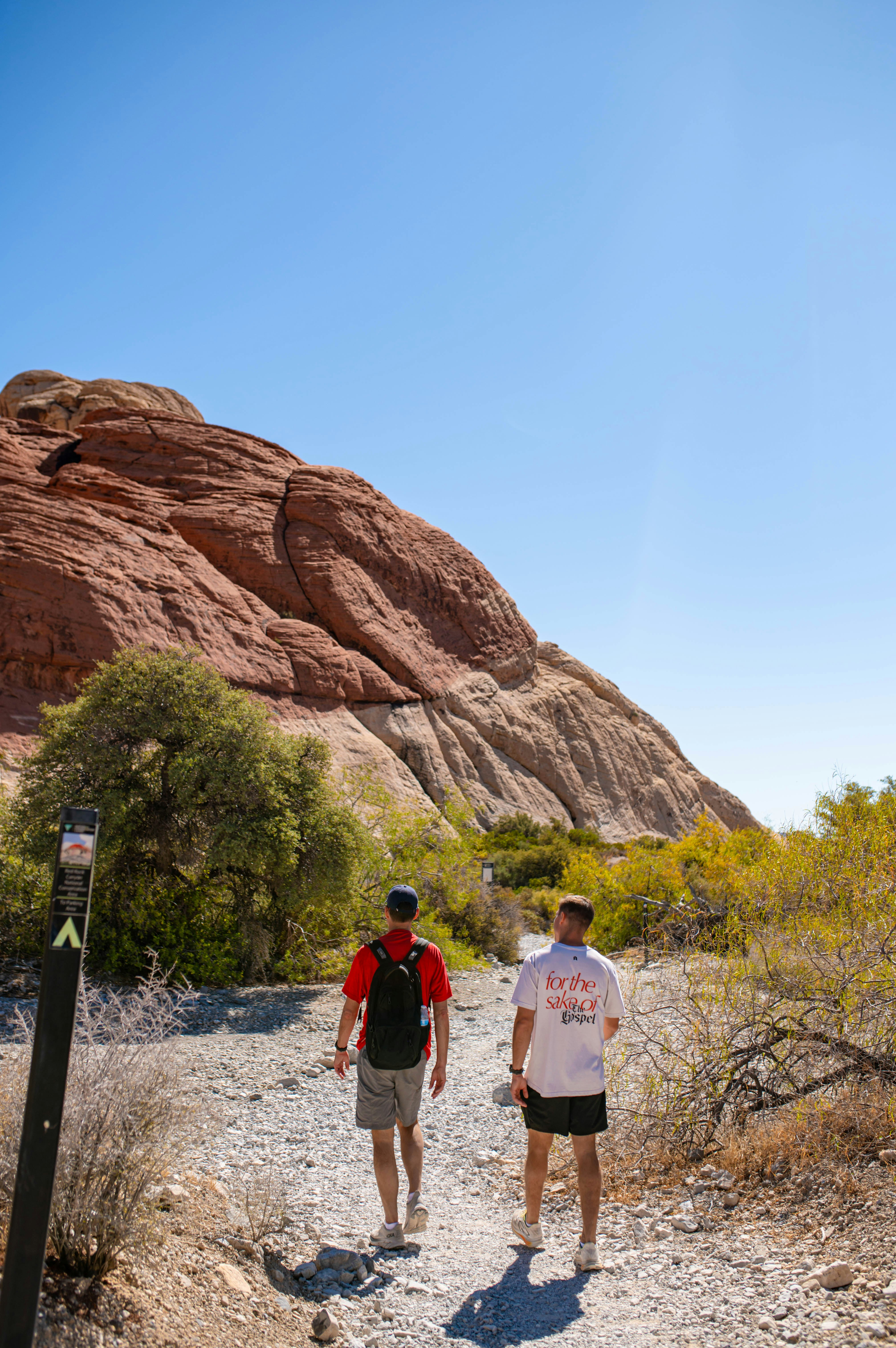 holiday fitness journey