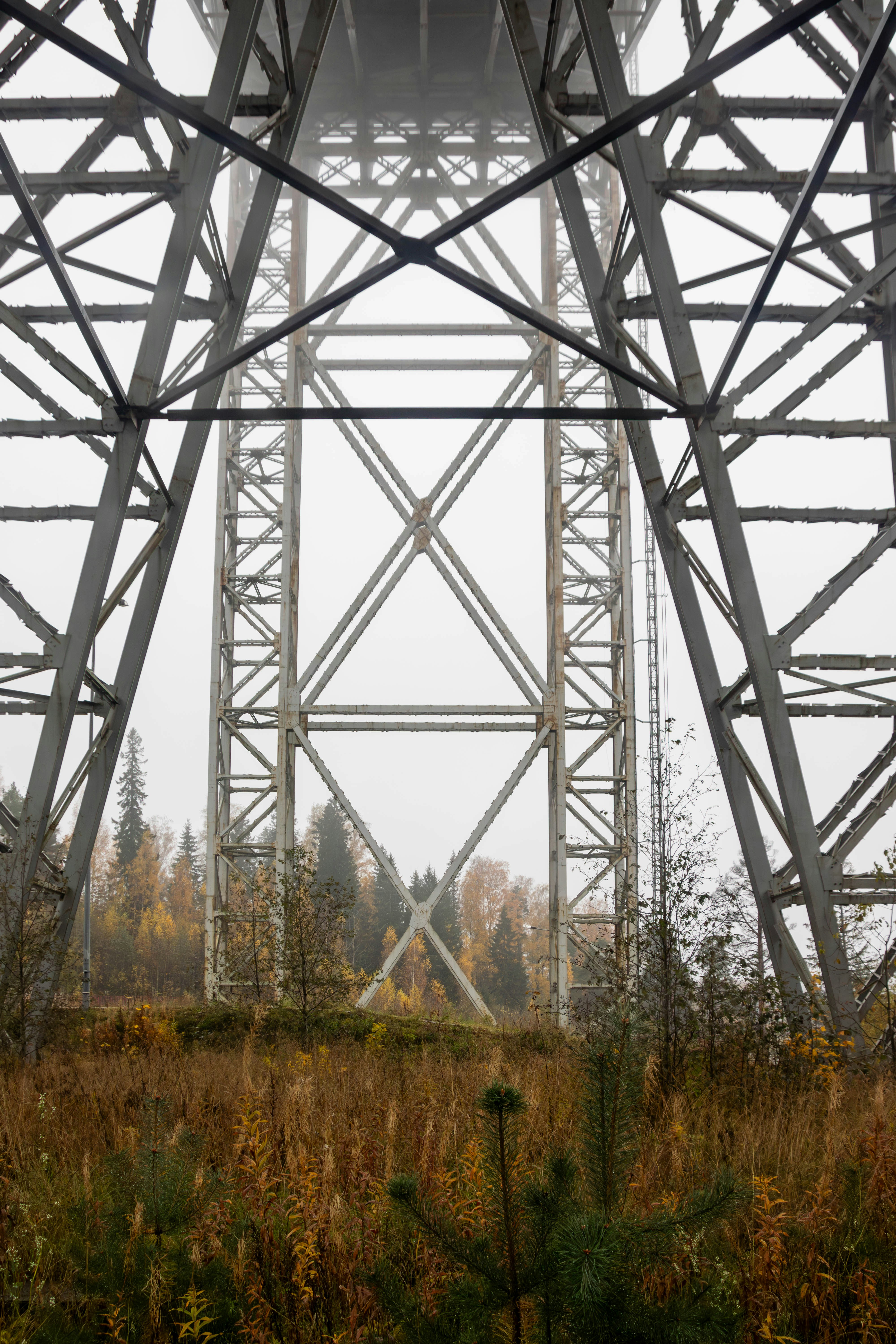 Underneath a large steel bridge with autumn trees