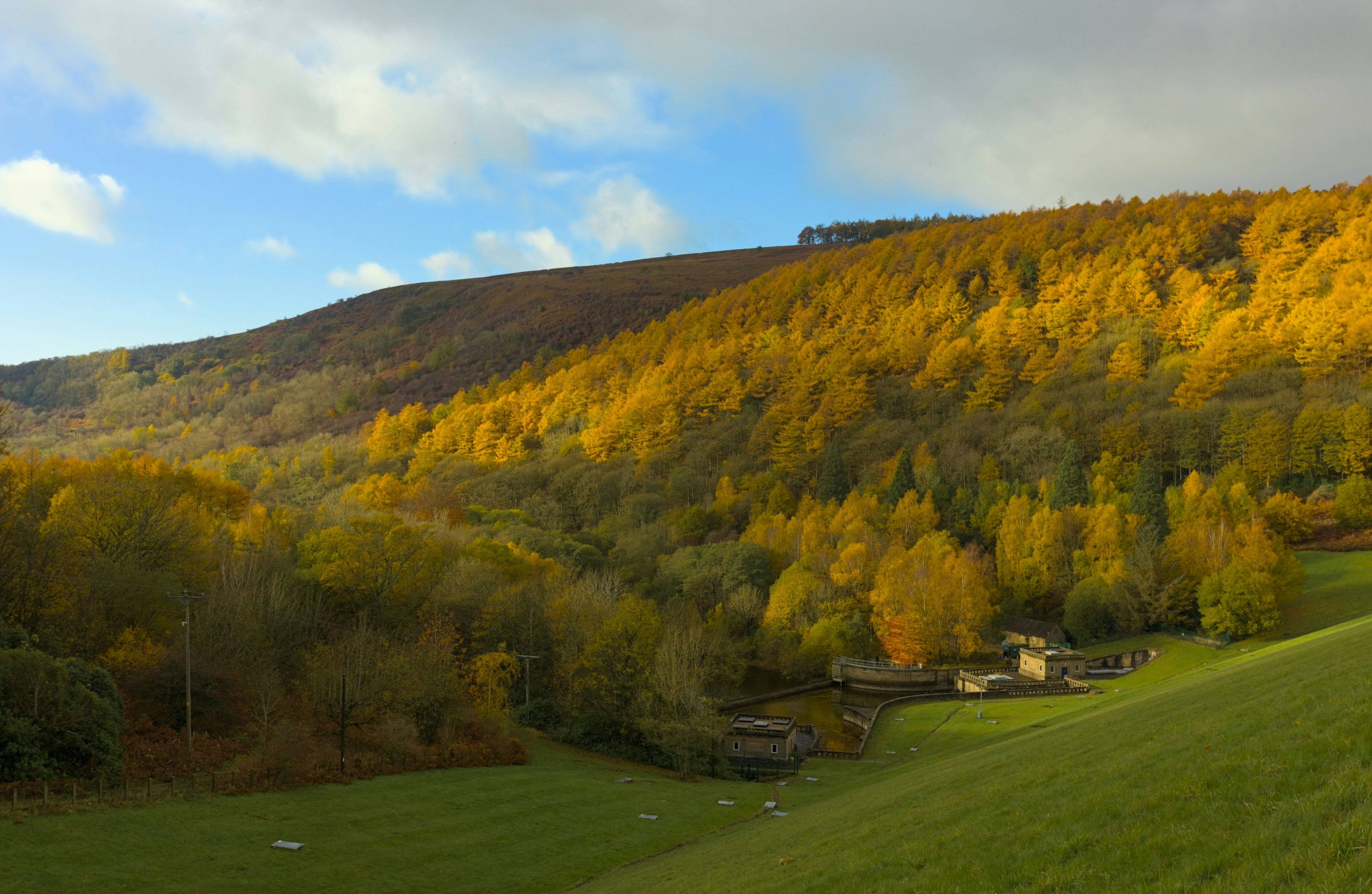 Photo by _asimrehman