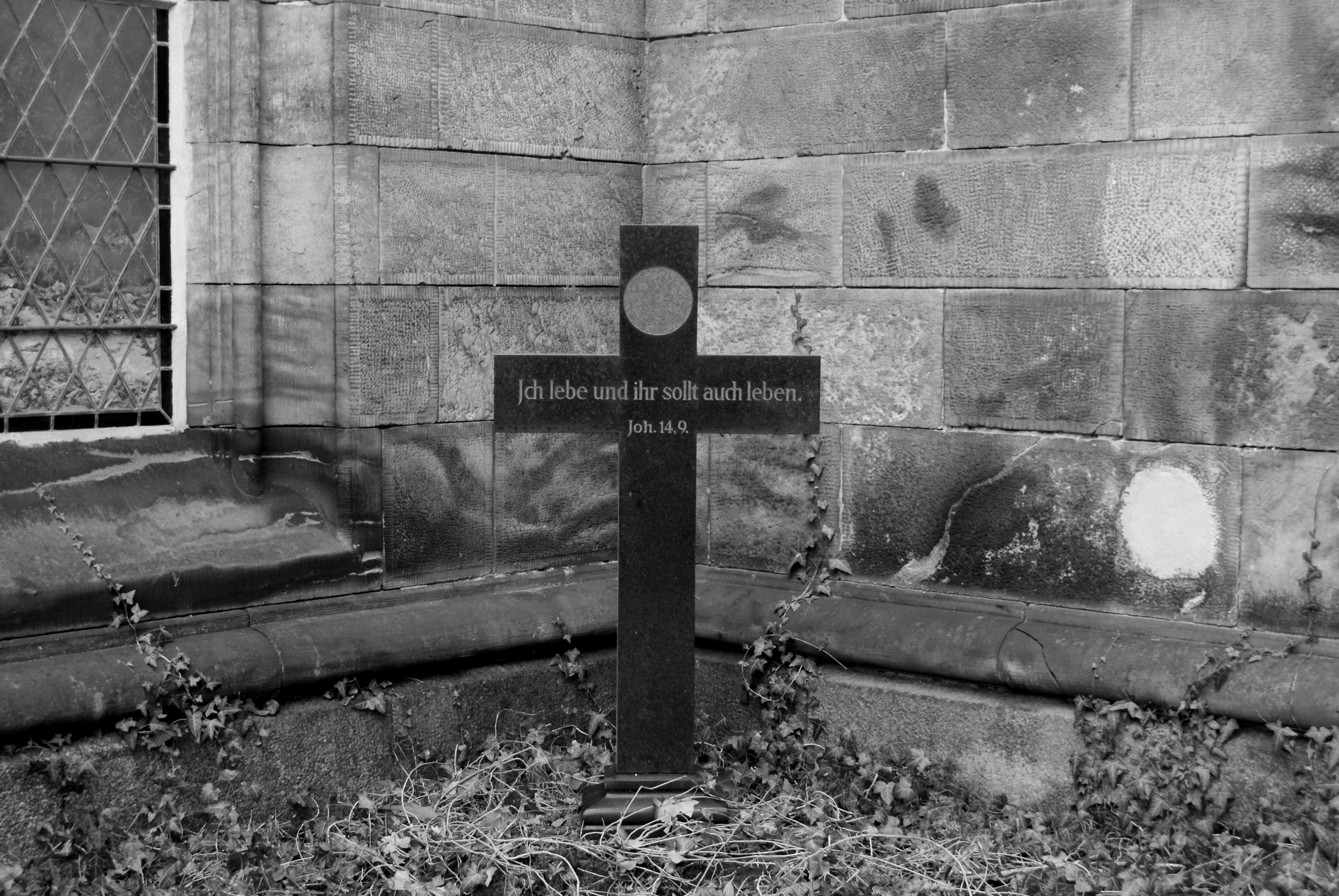 Photo by nikodemus777