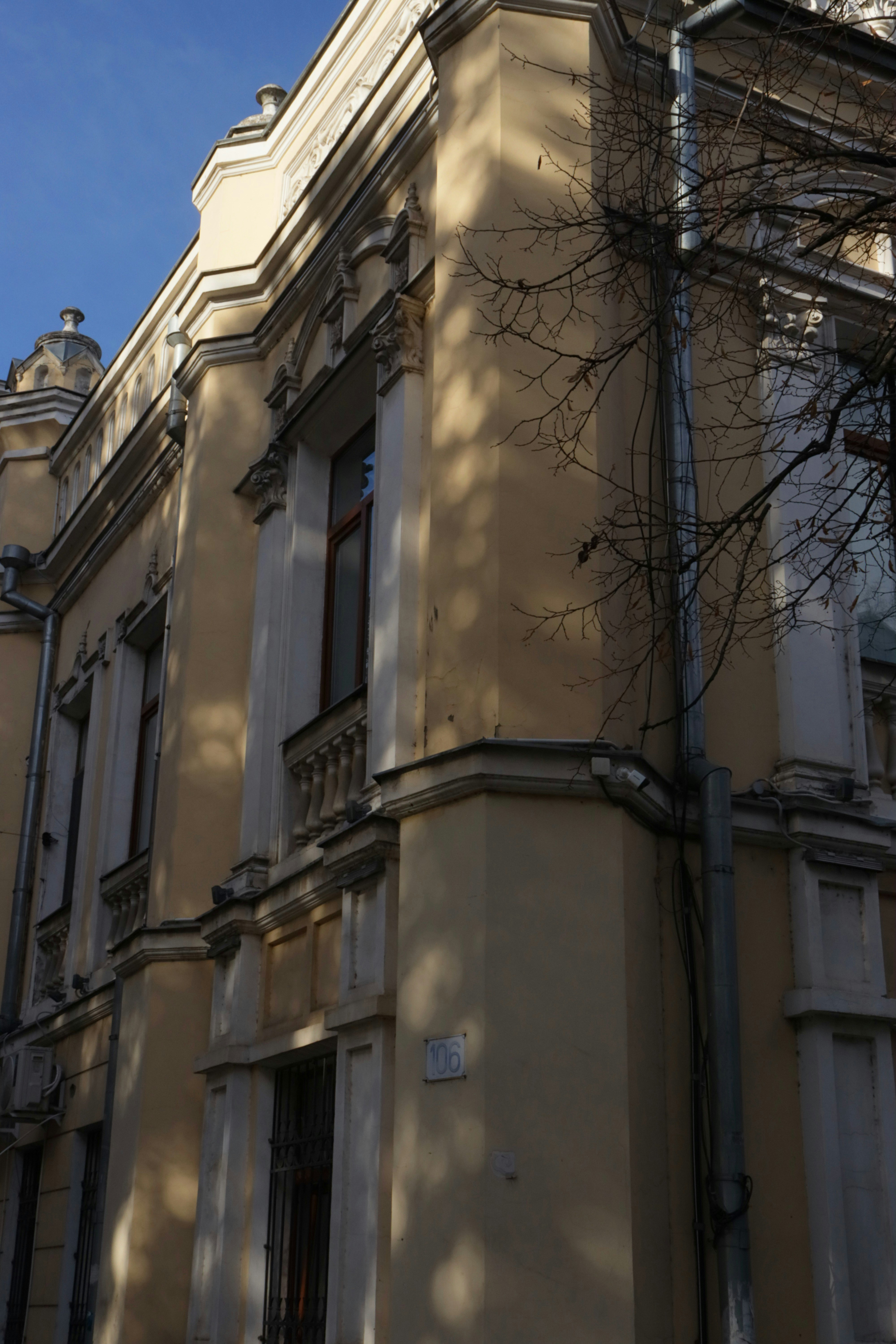 Photo by bored_mongoose