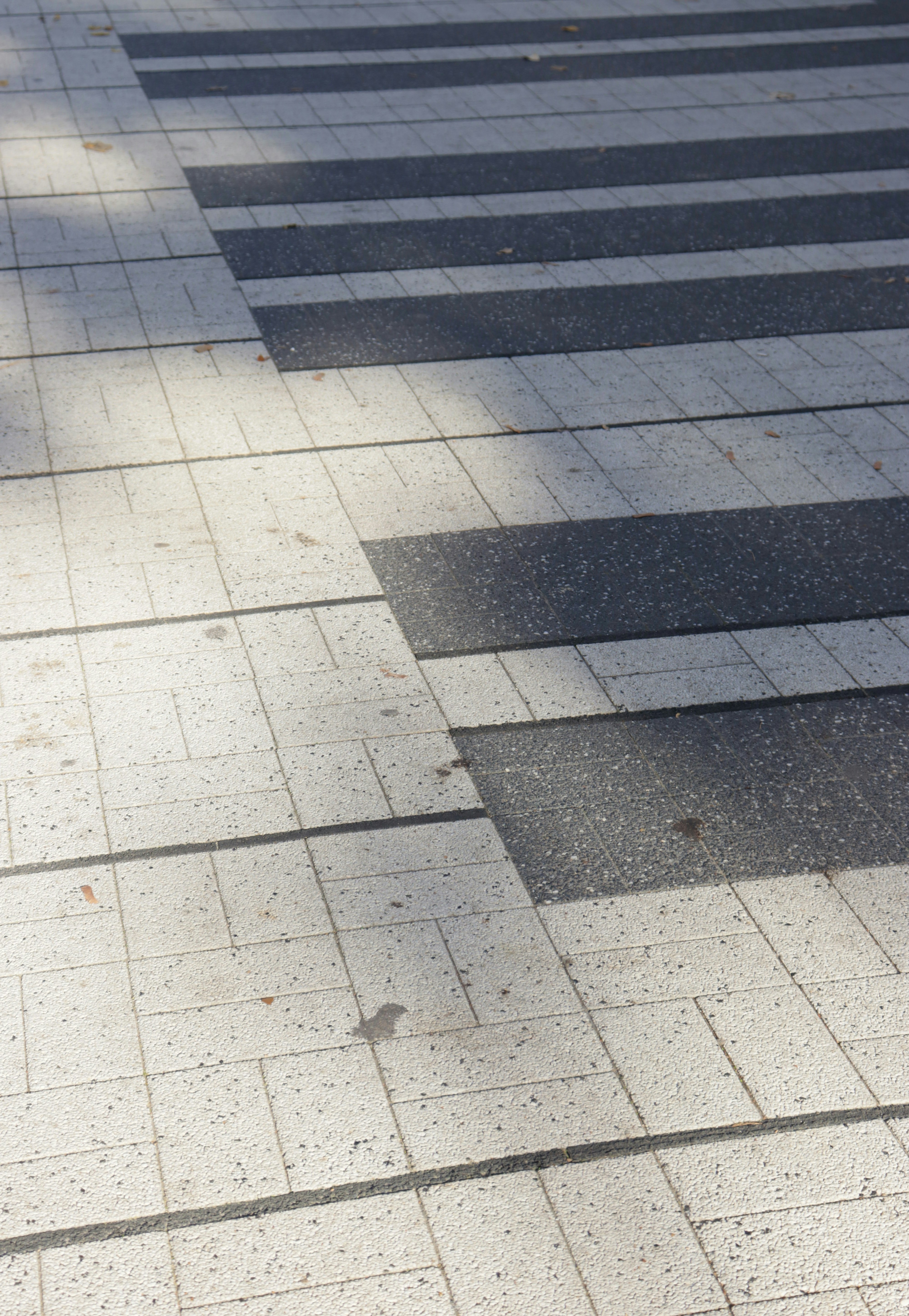 Photo by bored_mongoose