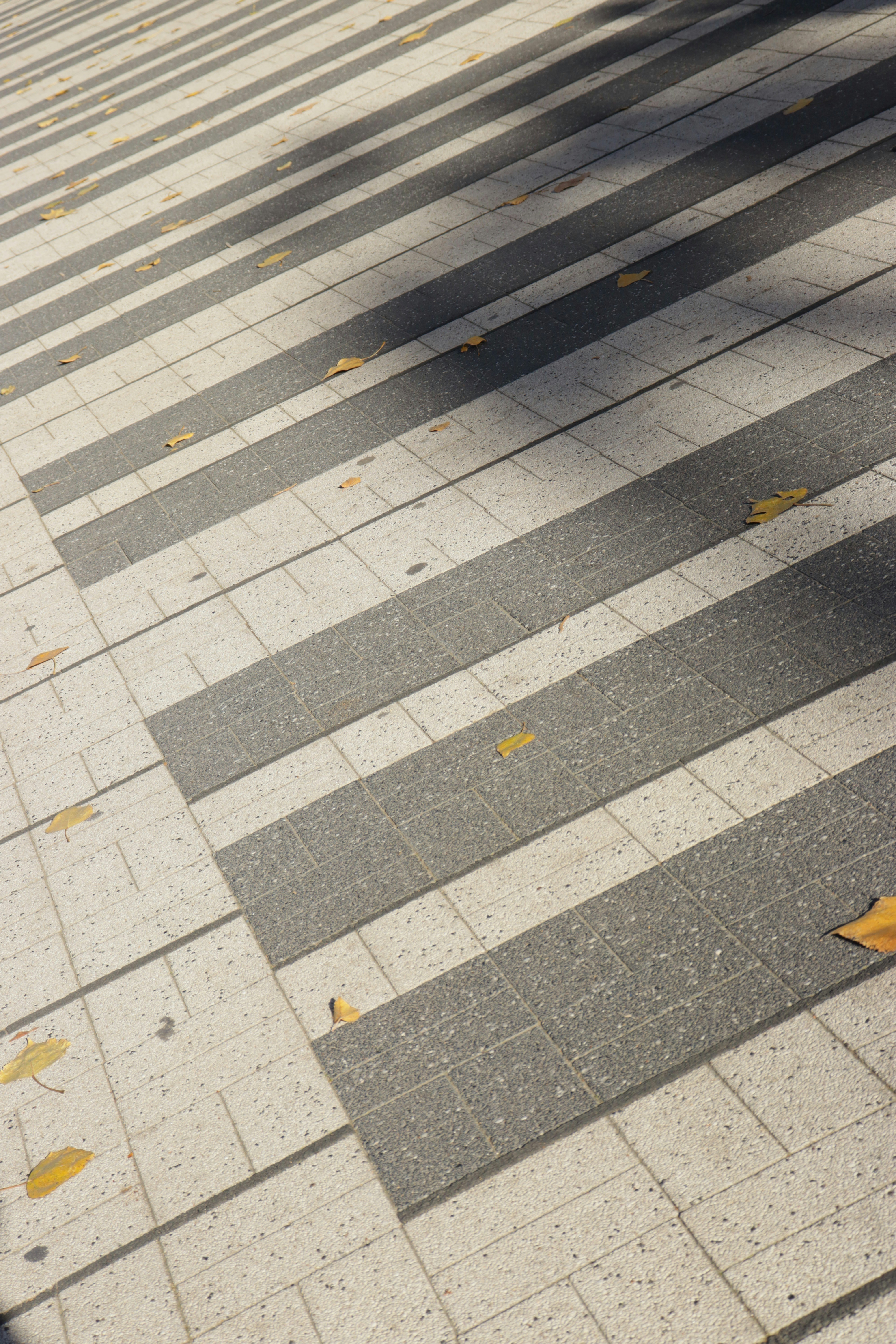 Photo by bored_mongoose