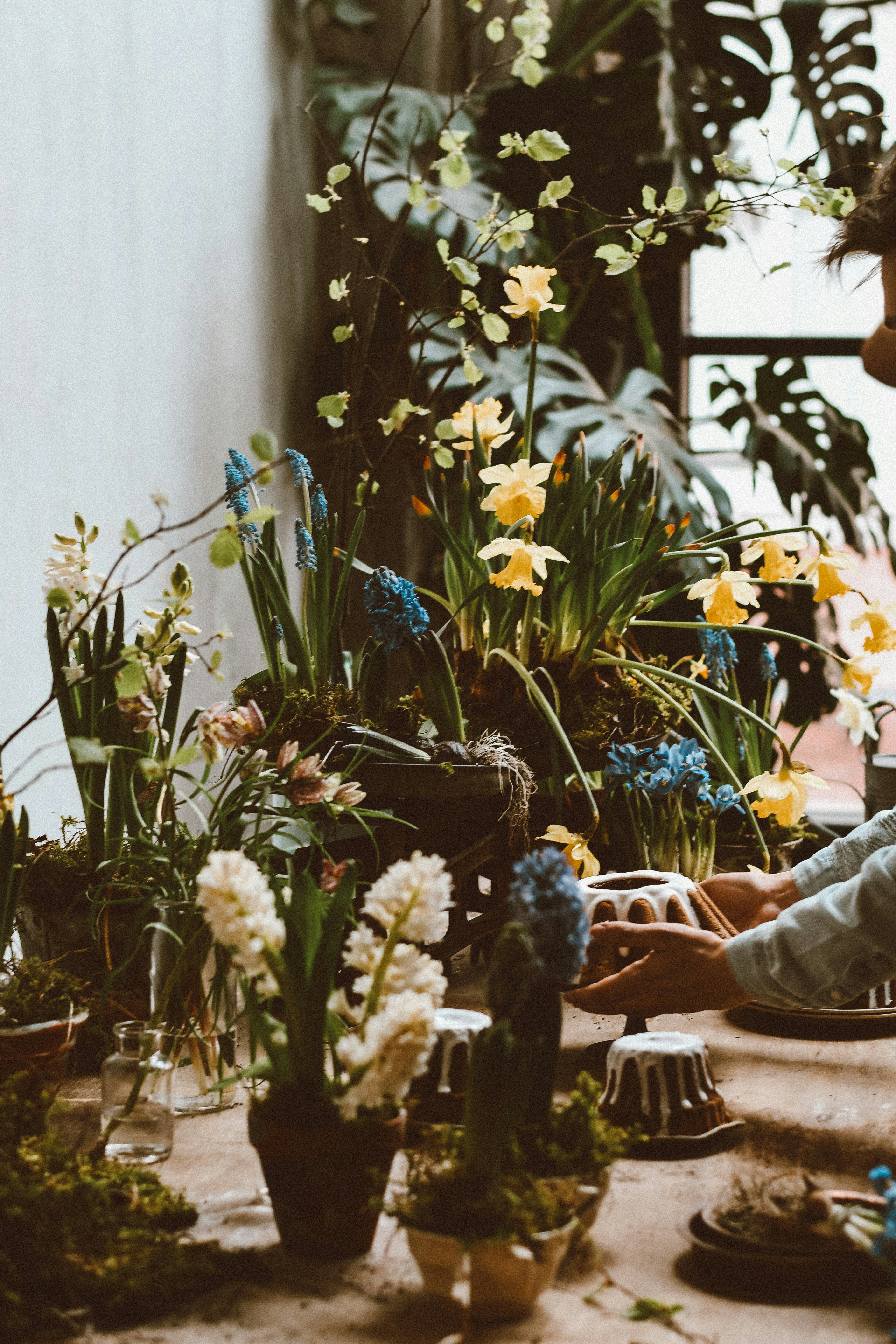 Table decorated with various spring flowers and plants
