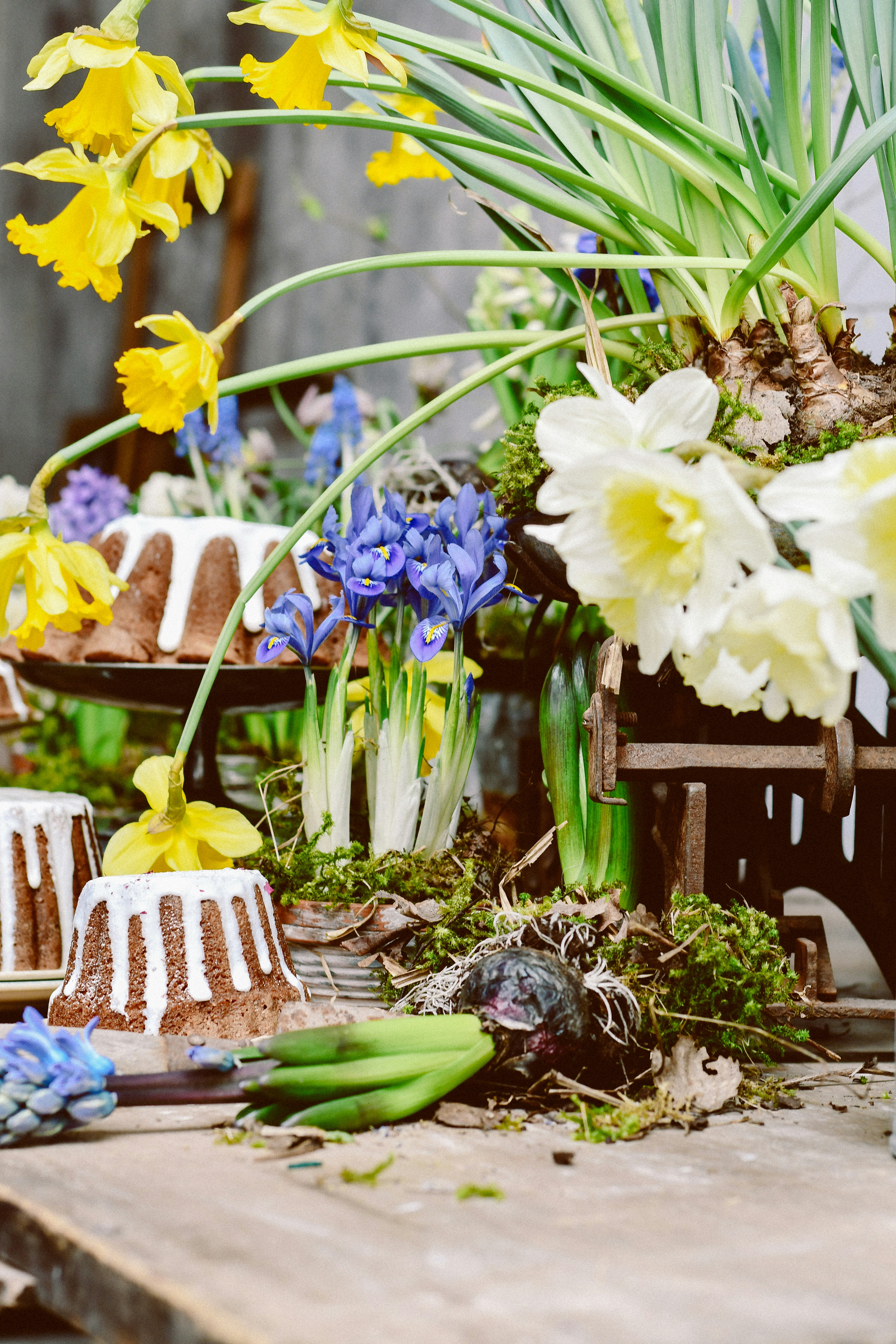 Photo by dinamakhmutova