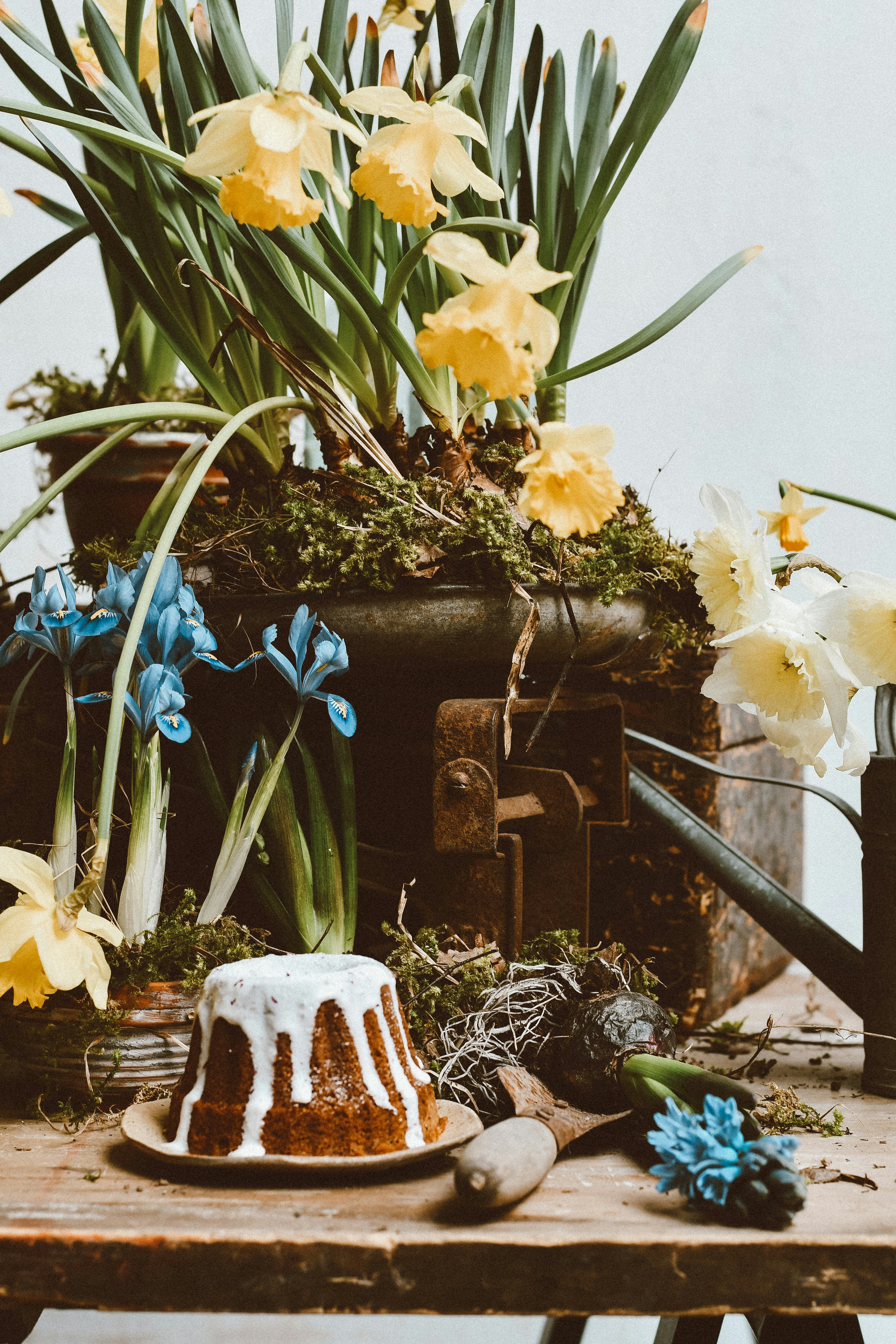 Bundt cake with white icing and spring flowers