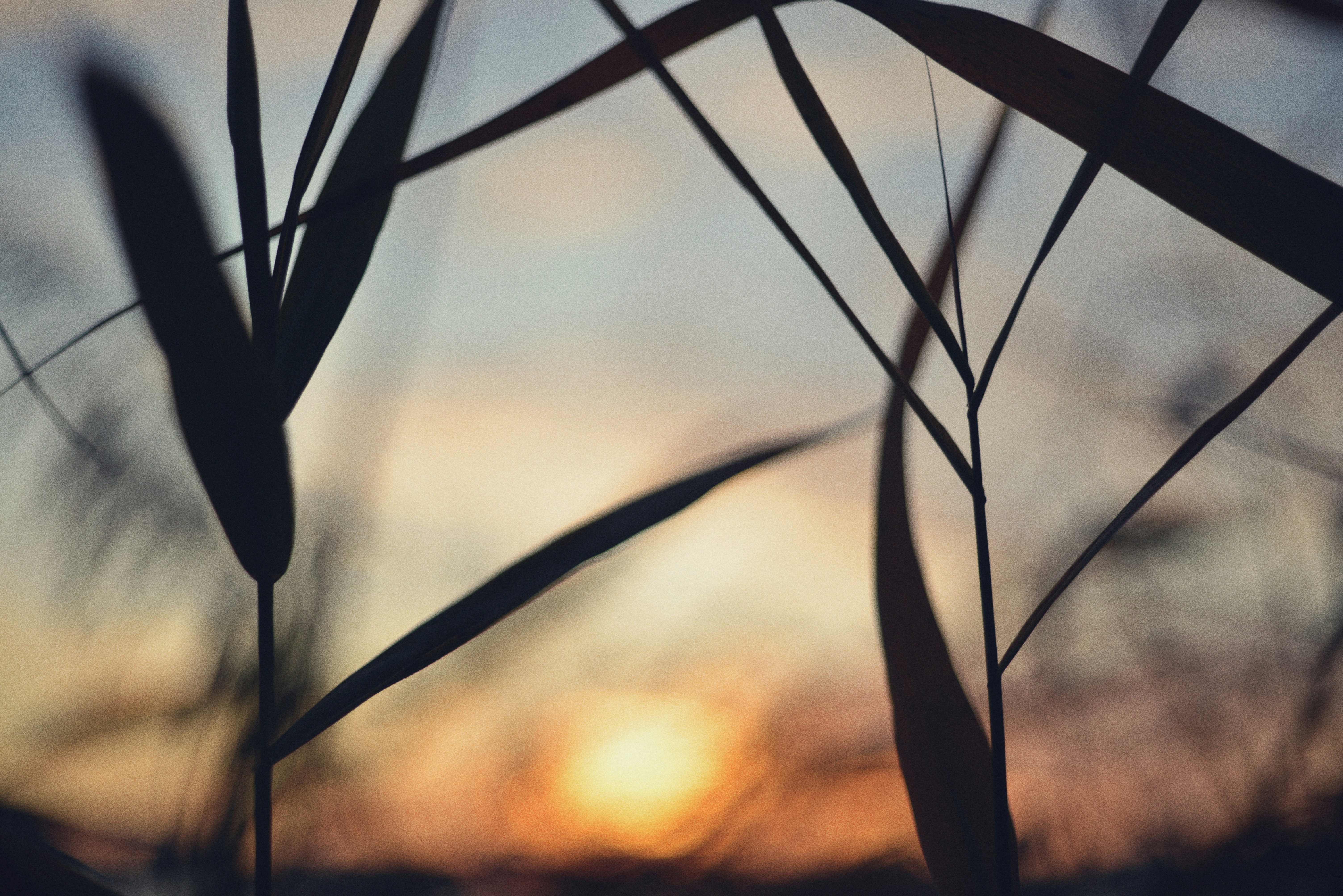 Photo by cherstve_pechivo