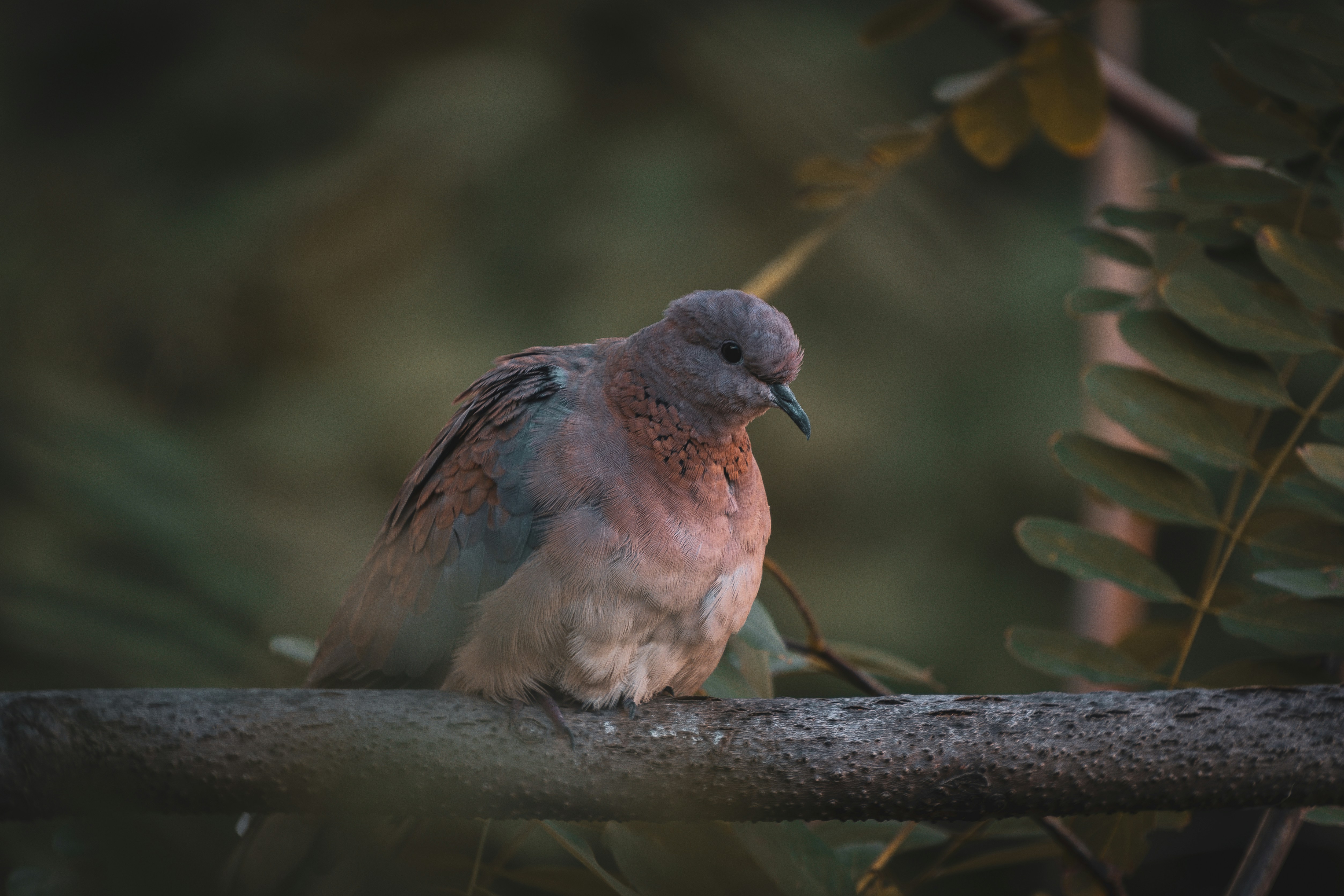 Photo by tunahankuzgun