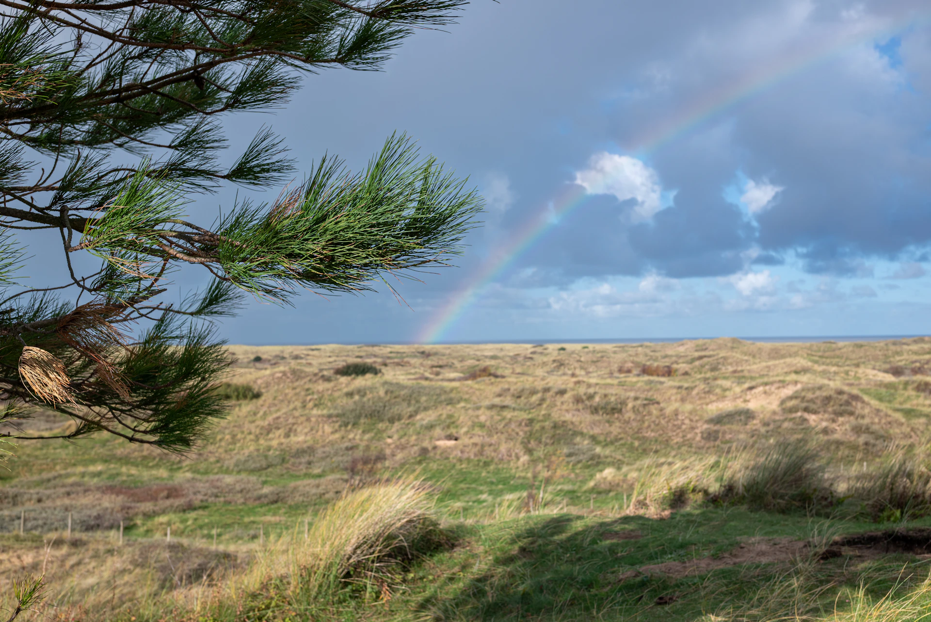 Rainbow over a grassy field and ocean.