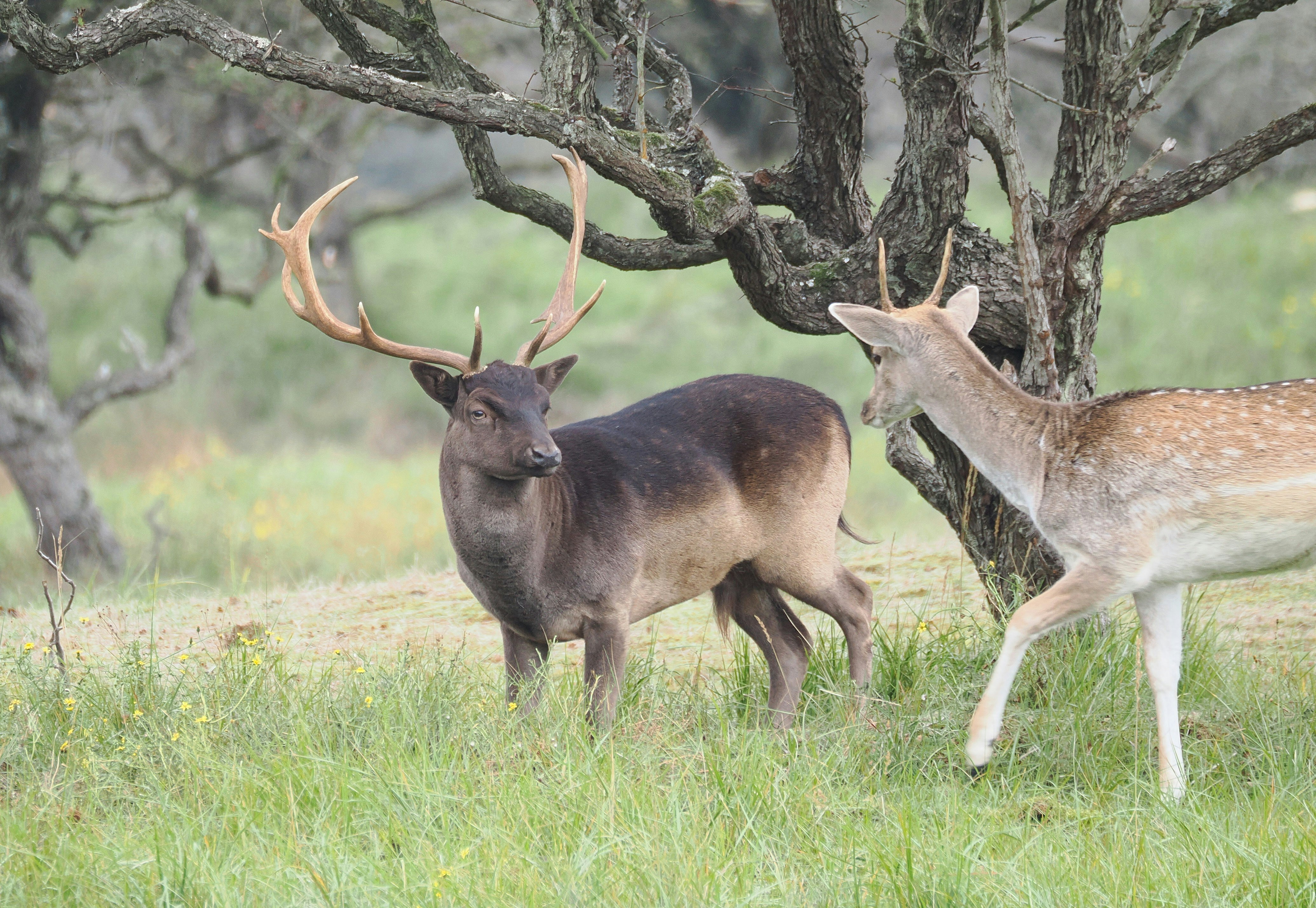 조던티비 스포츠분석 — 경기 장면 및 전술 분석 스포츠분석 정보