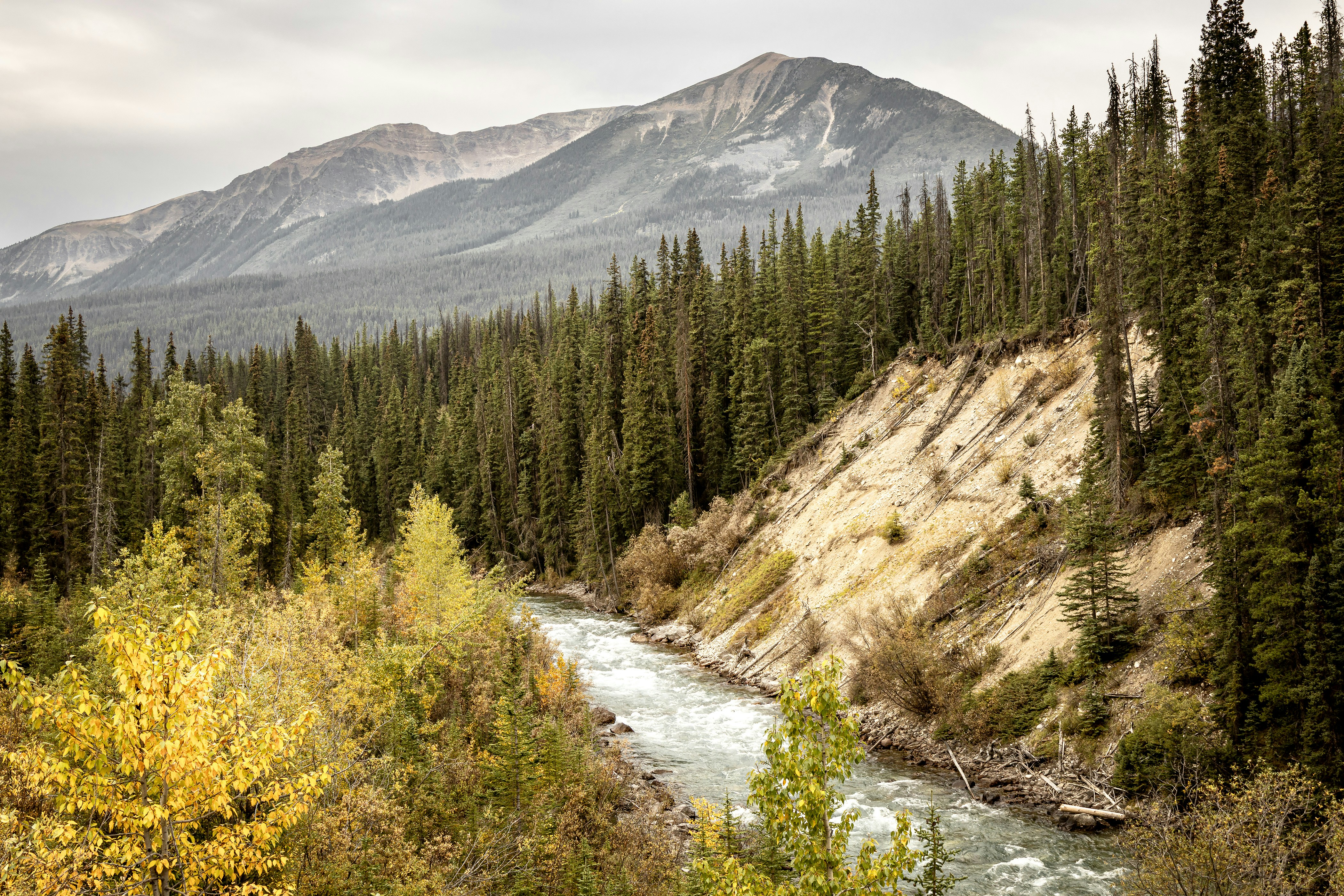 Photo by sterlinglanier