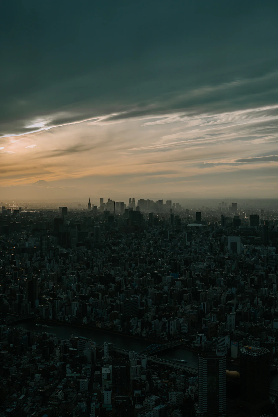 Panoramic view of a densely populated cityscape from an elevated perspective at dusk