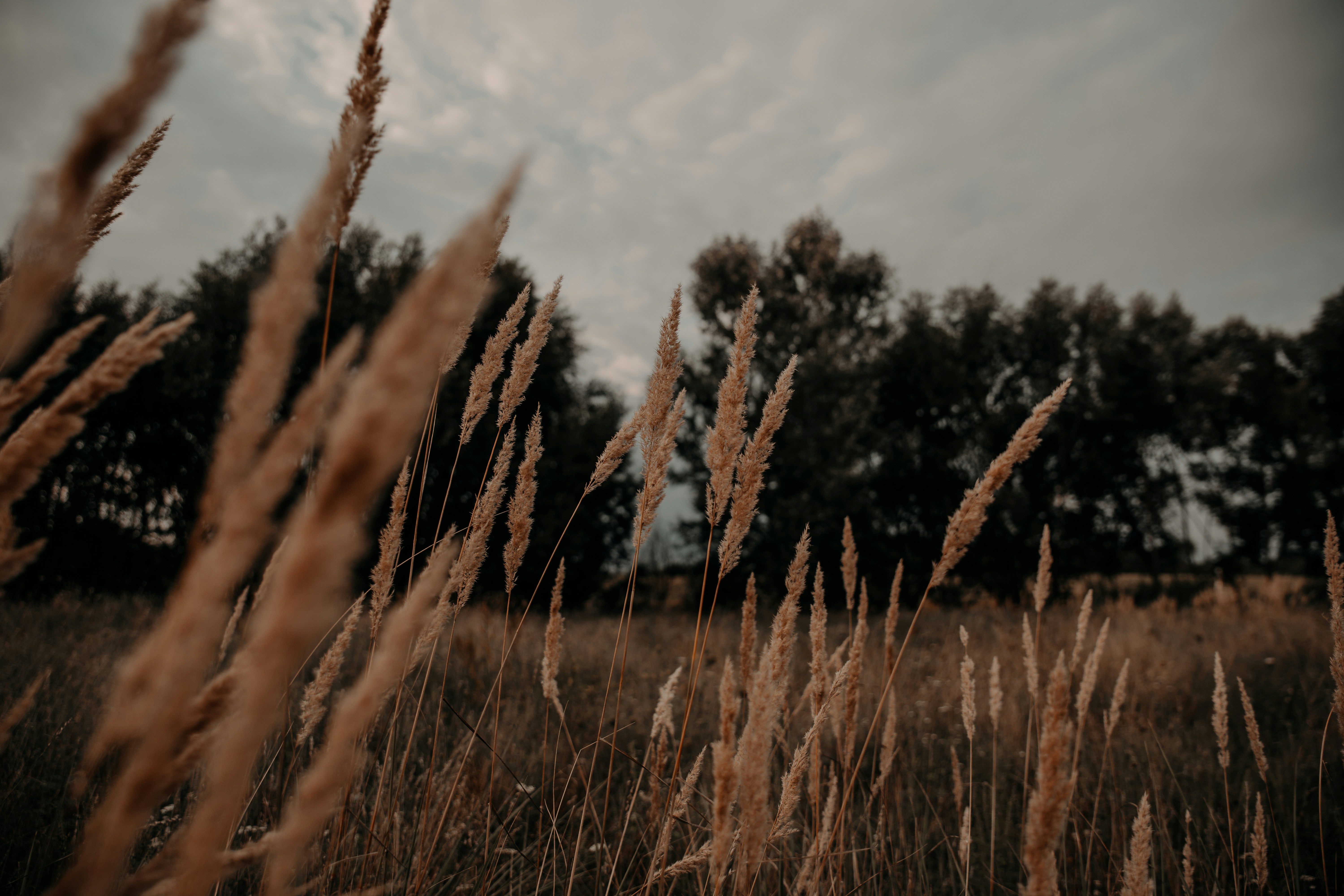 Photo by sylvester_s