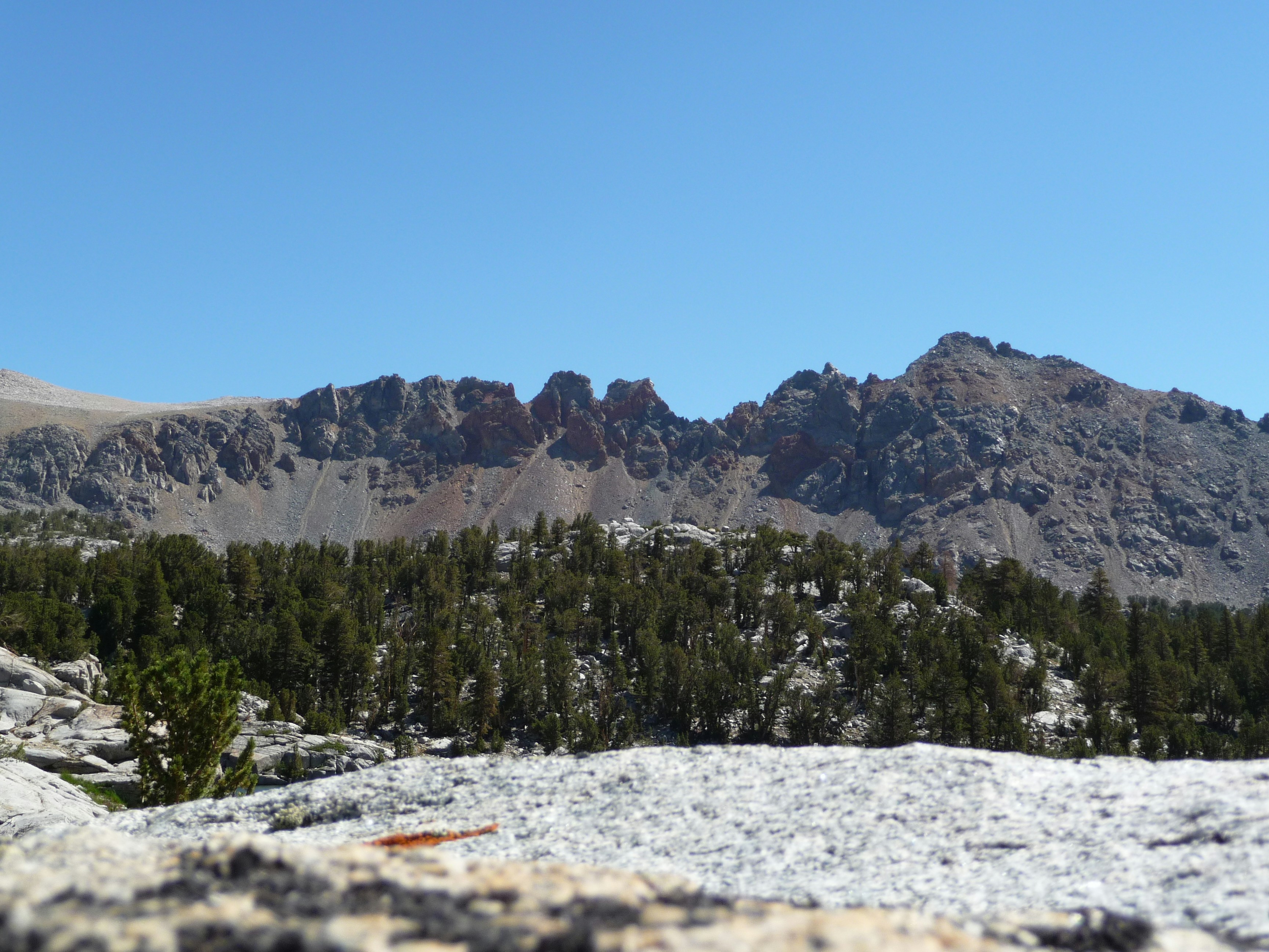 Rocky mountain range with pine trees and clear sky