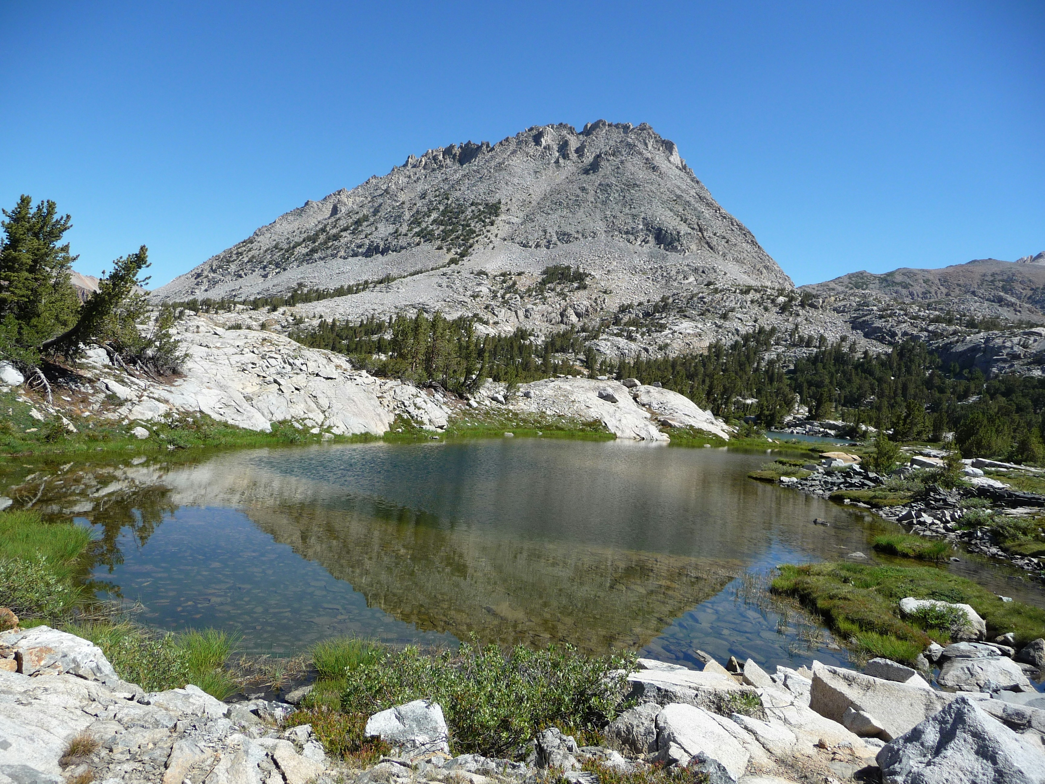 Photo by diggity_dog