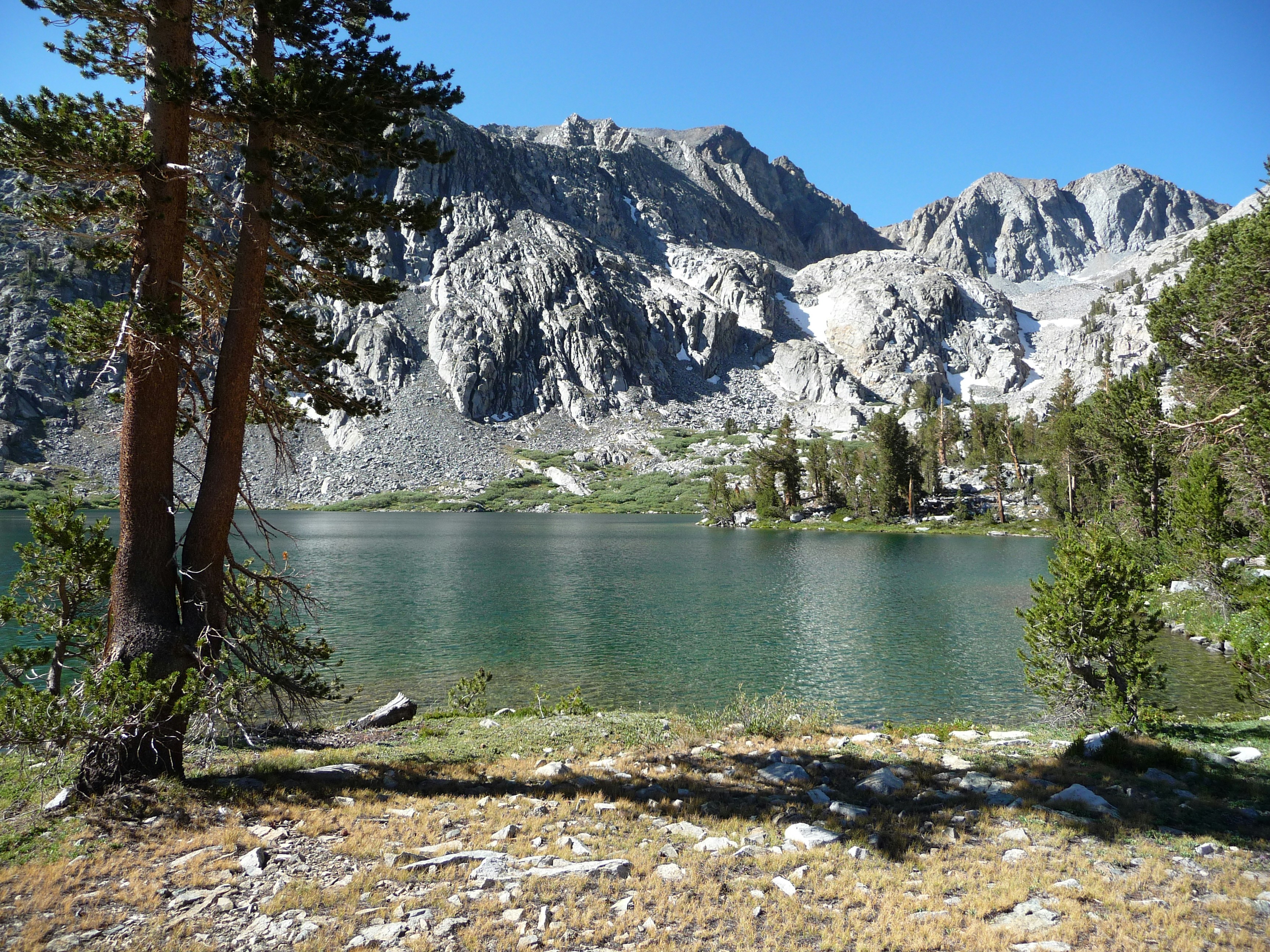 Photo by diggity_dog