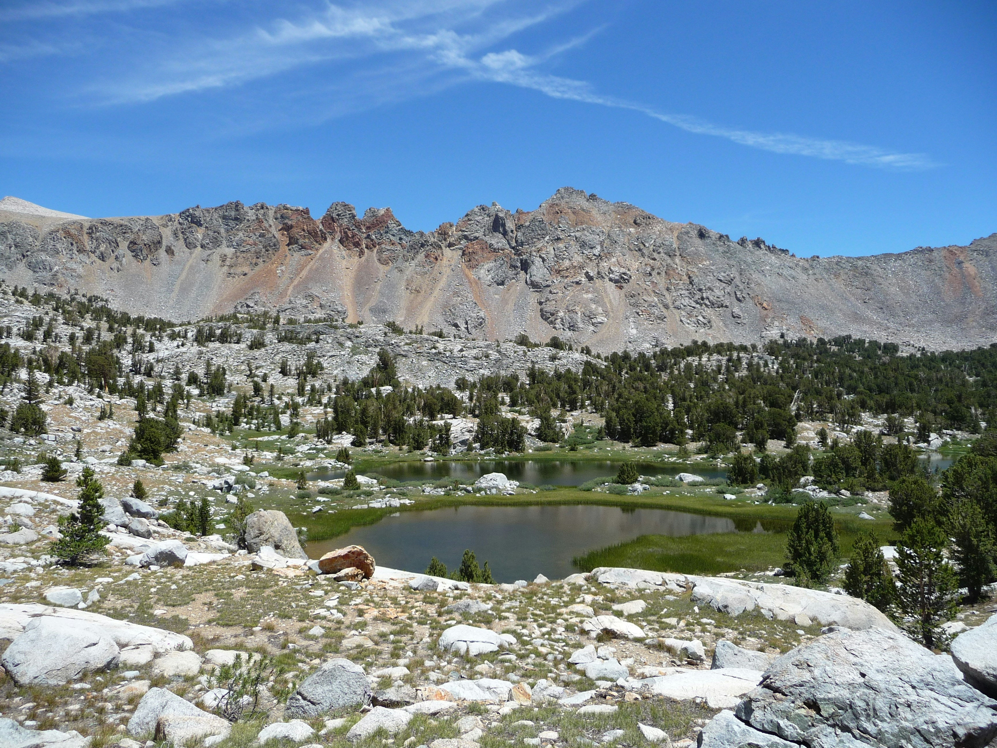 Photo by diggity_dog