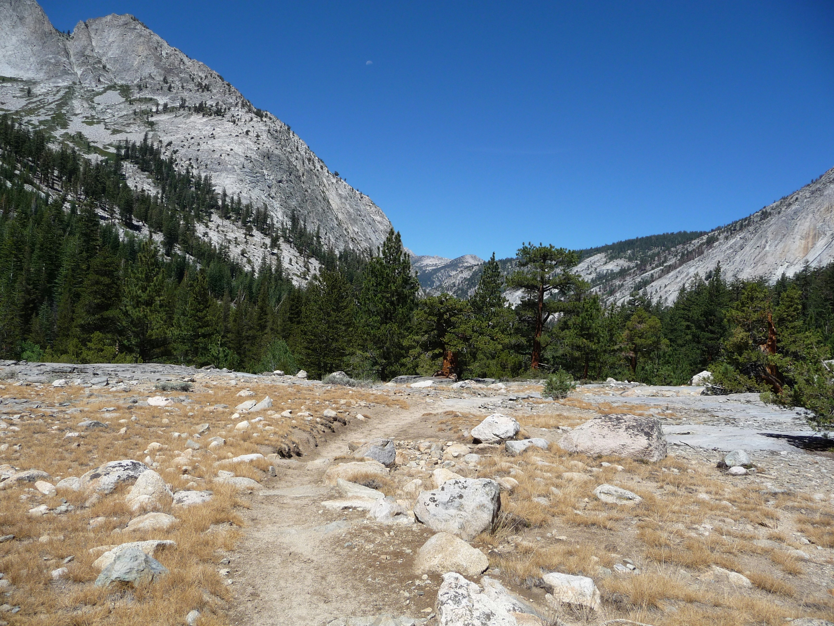 Mountain valley with a dirt path and pine trees