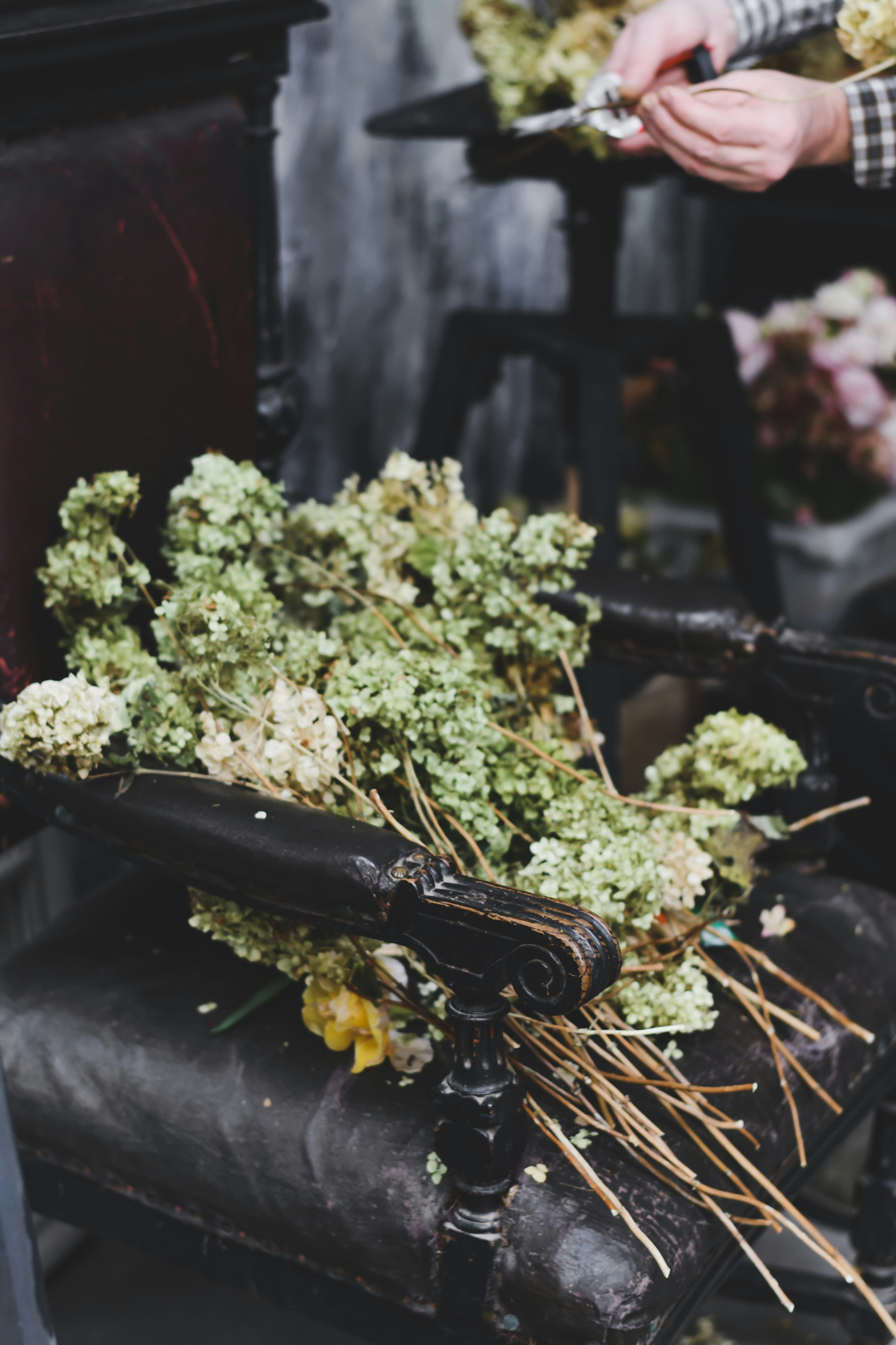 Photo by dinamakhmutova