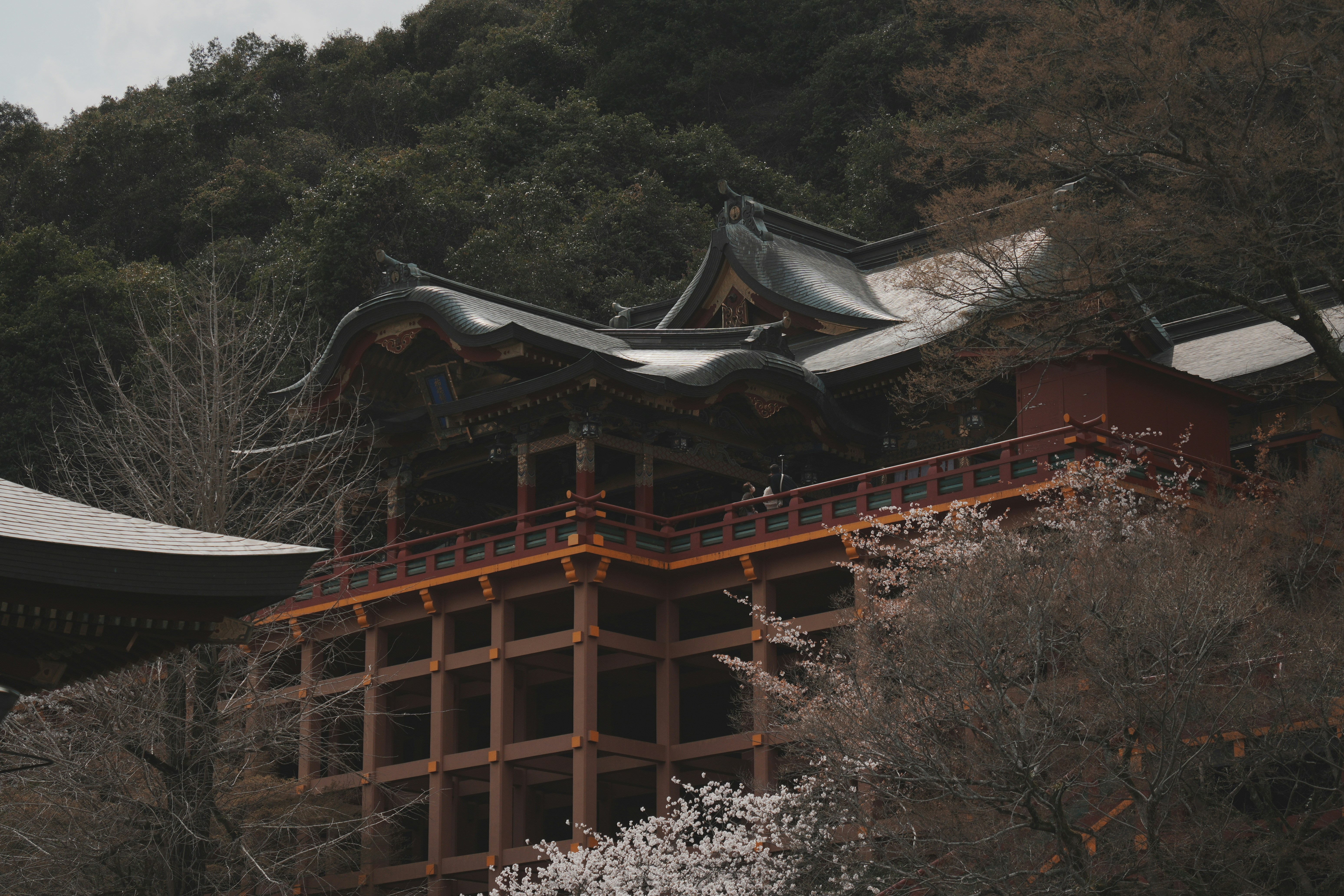 Photo by r1k3sh