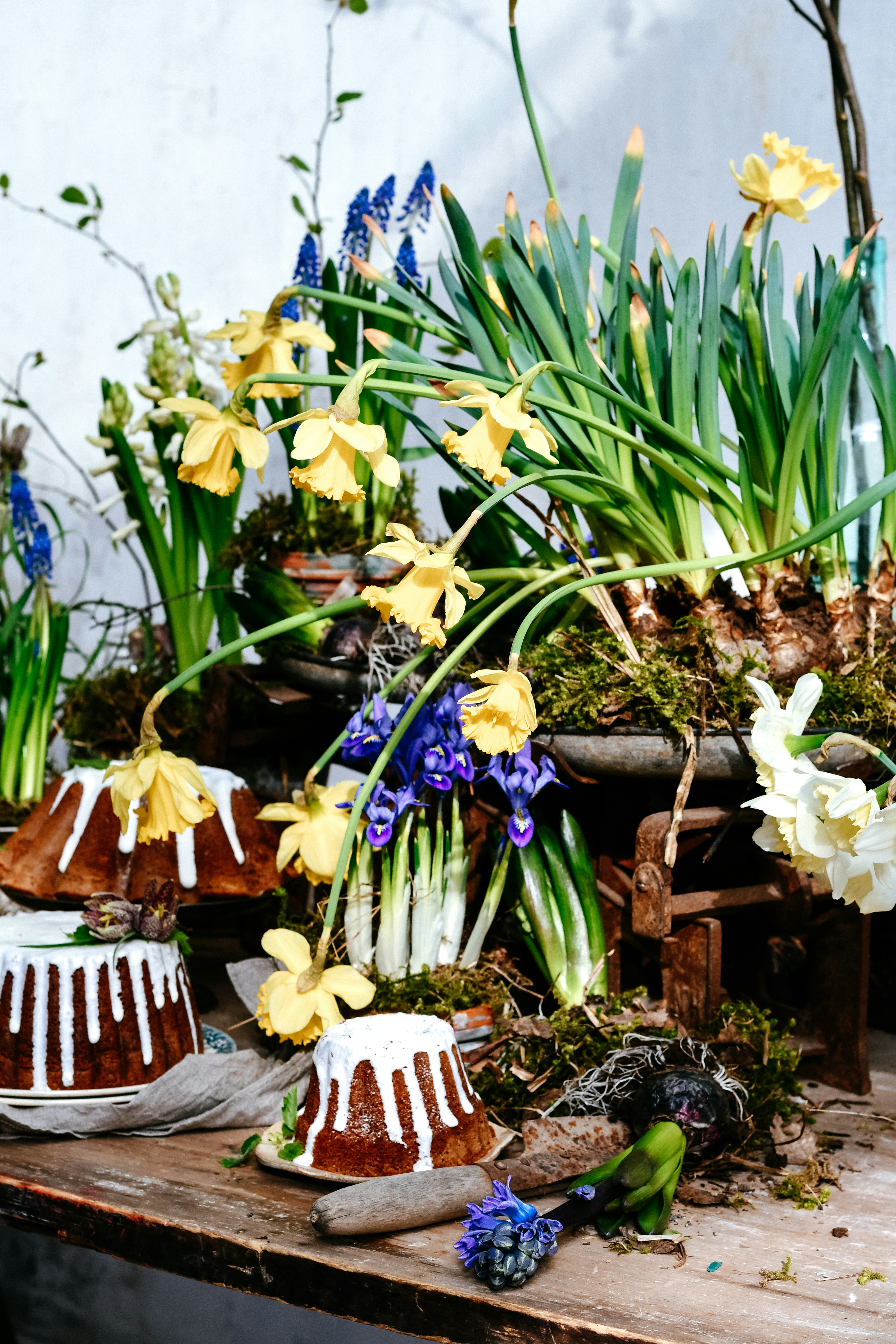 Easter cakes with spring flowers and greenery