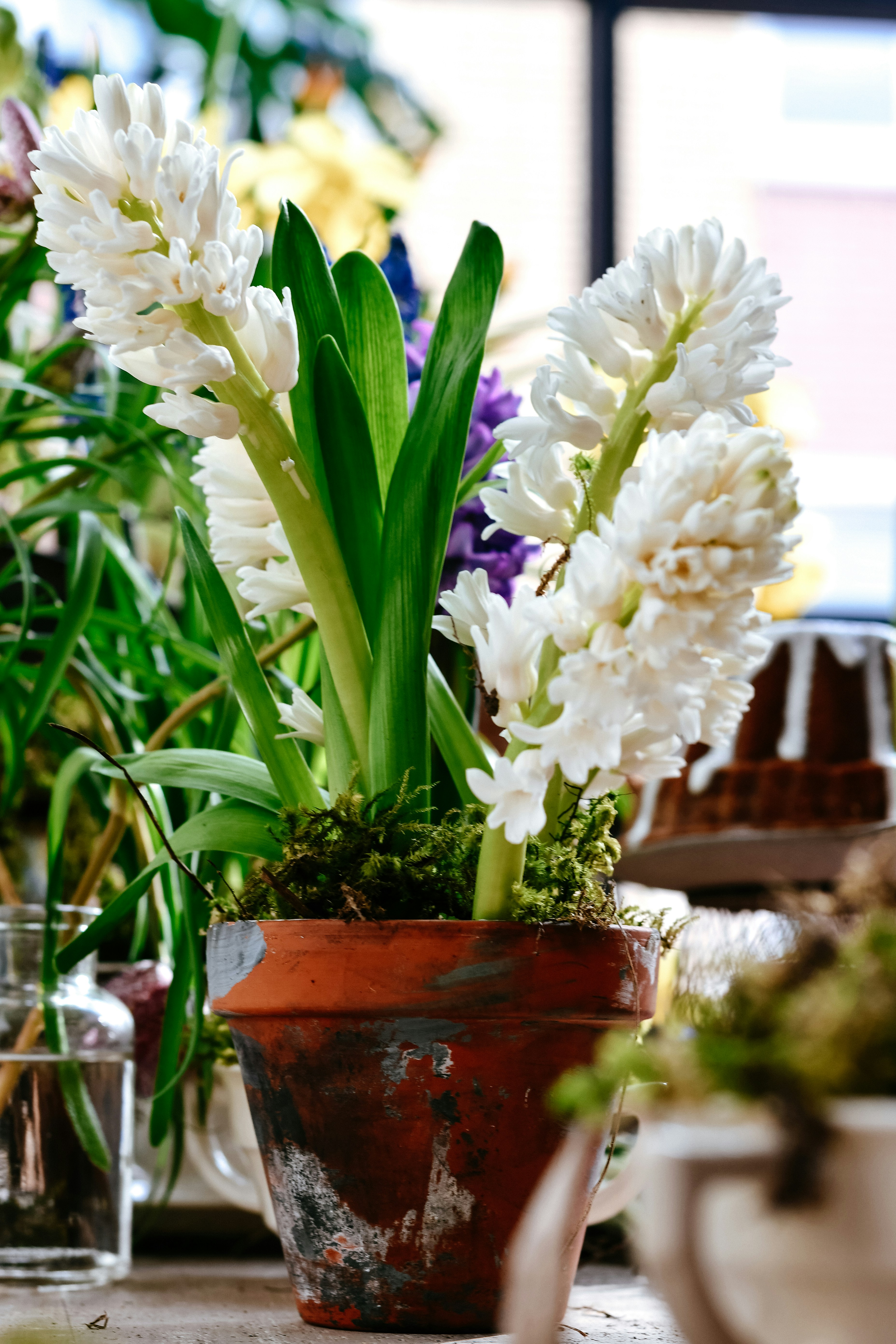 Photo by dinamakhmutova
