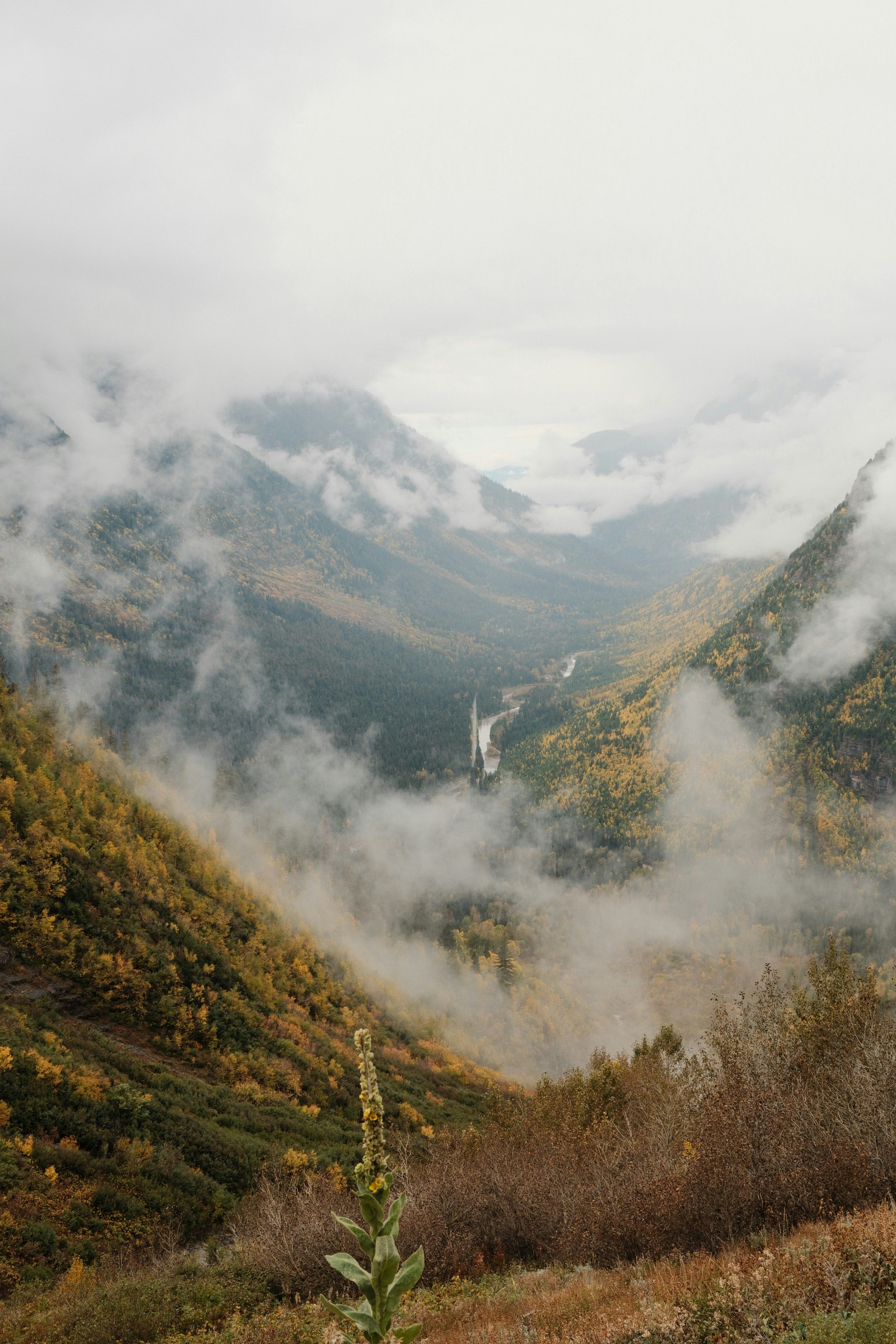 Misty mountain valley with autumn foliage and waterfall.