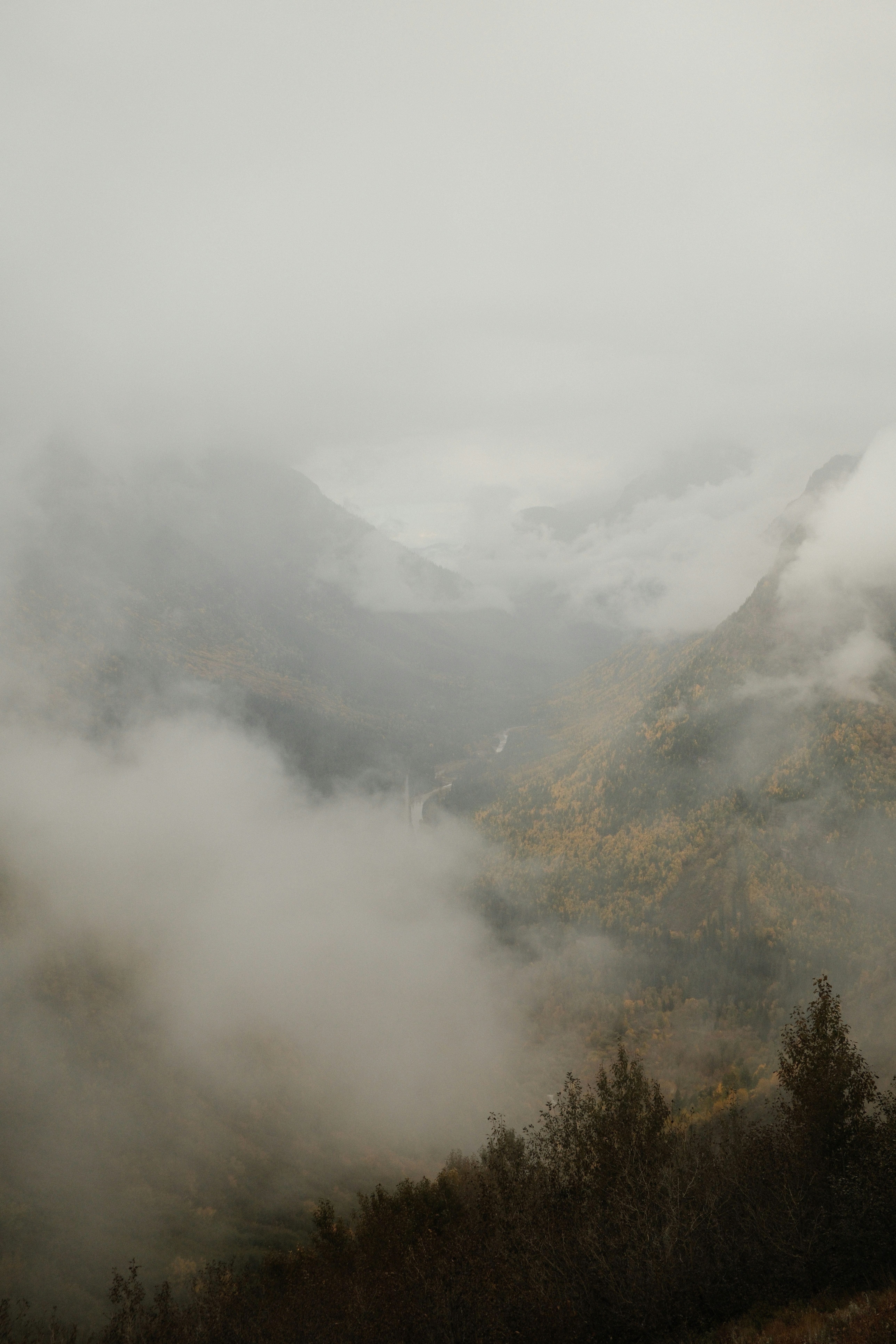 Photo by maliafaithmoore