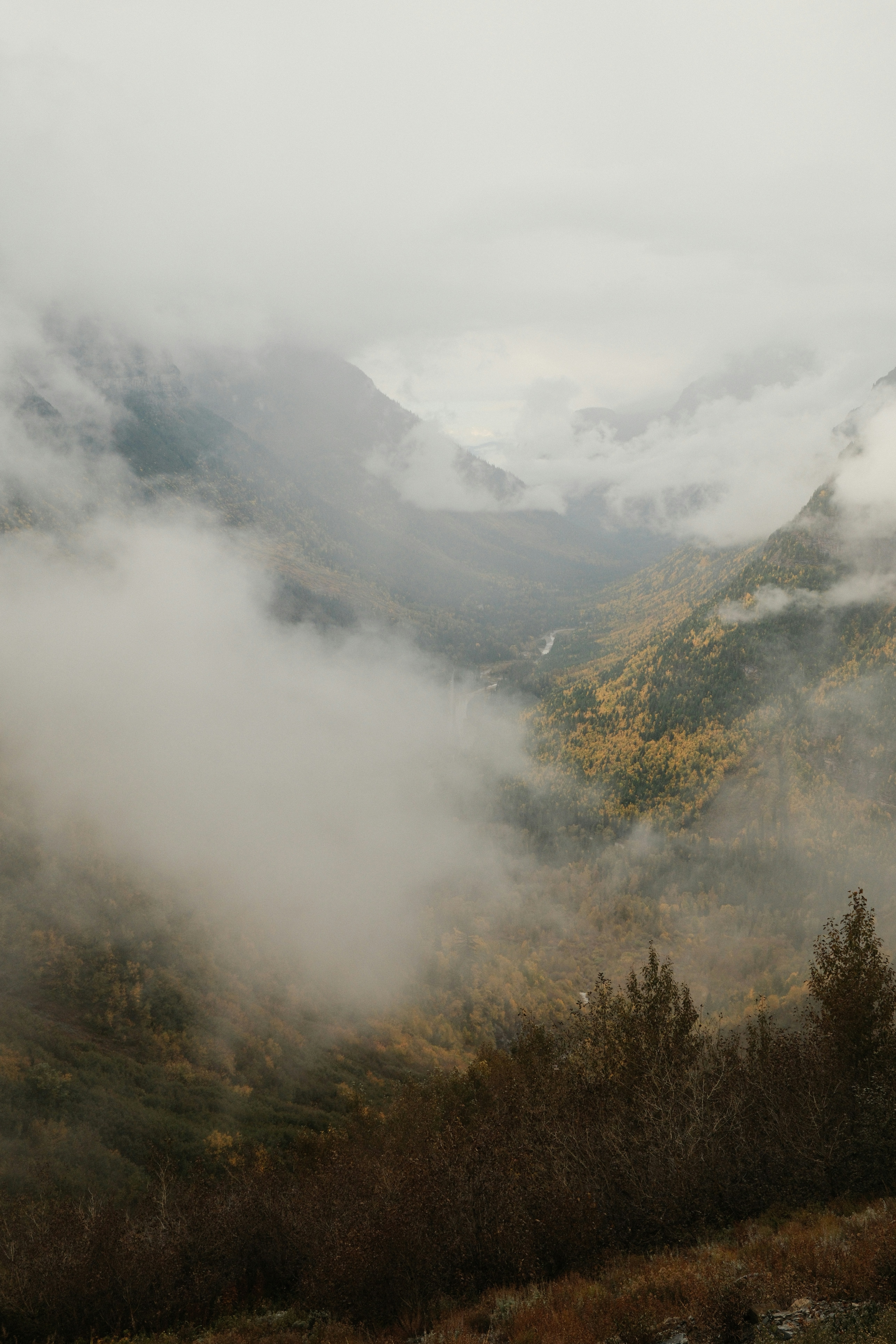 Photo by maliafaithmoore