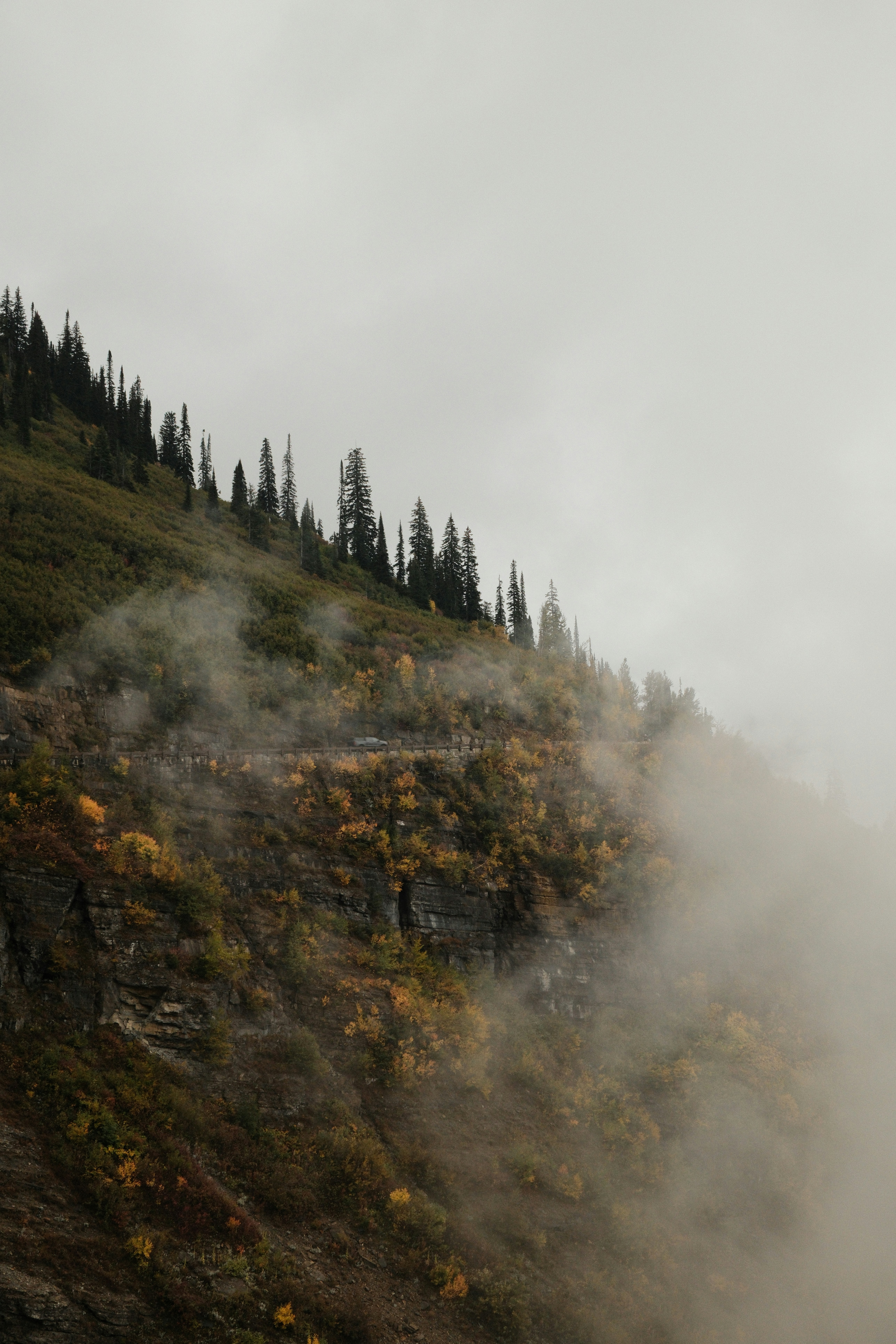 Photo by maliafaithmoore