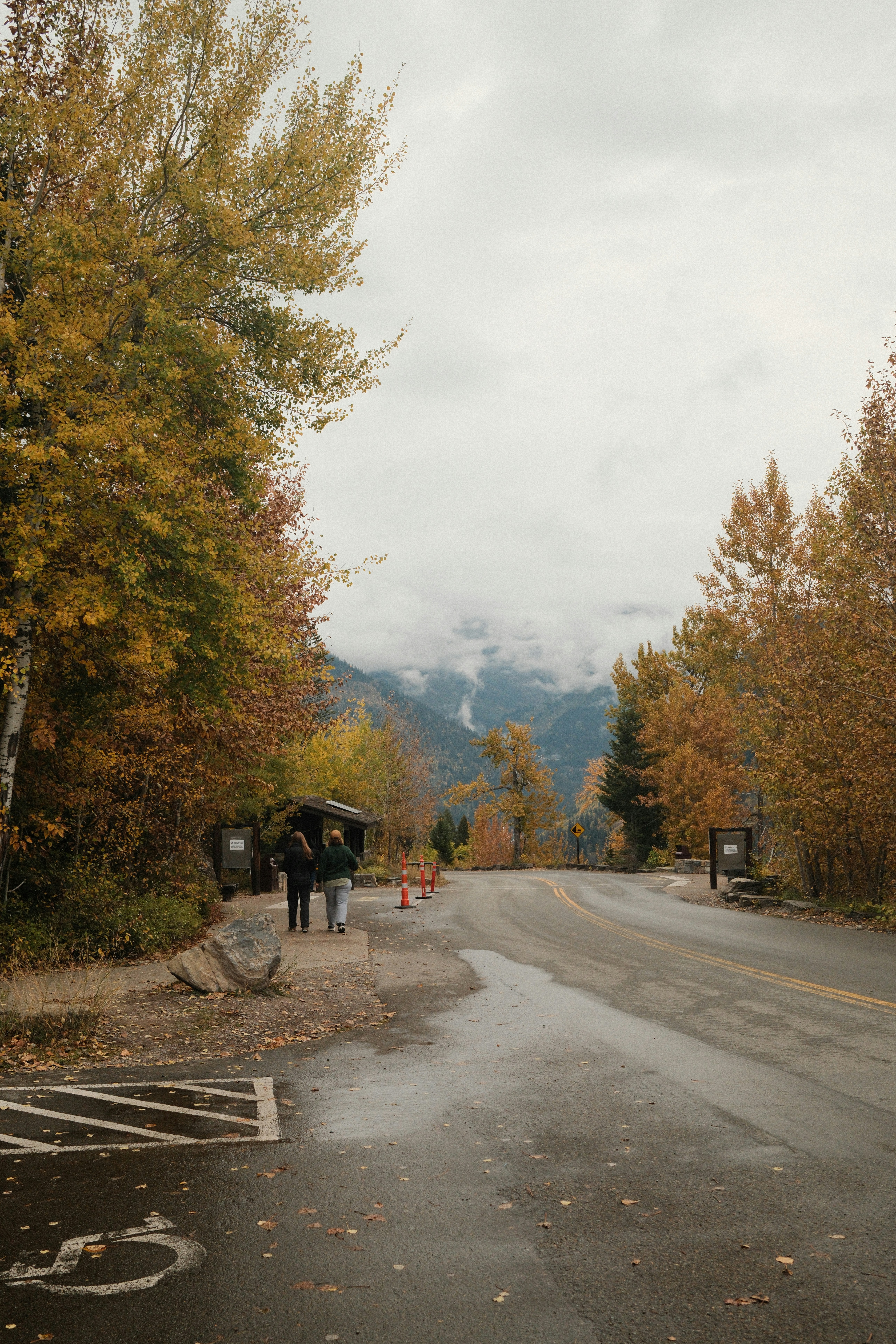 Autumn trees line a wet road leading to mountains.