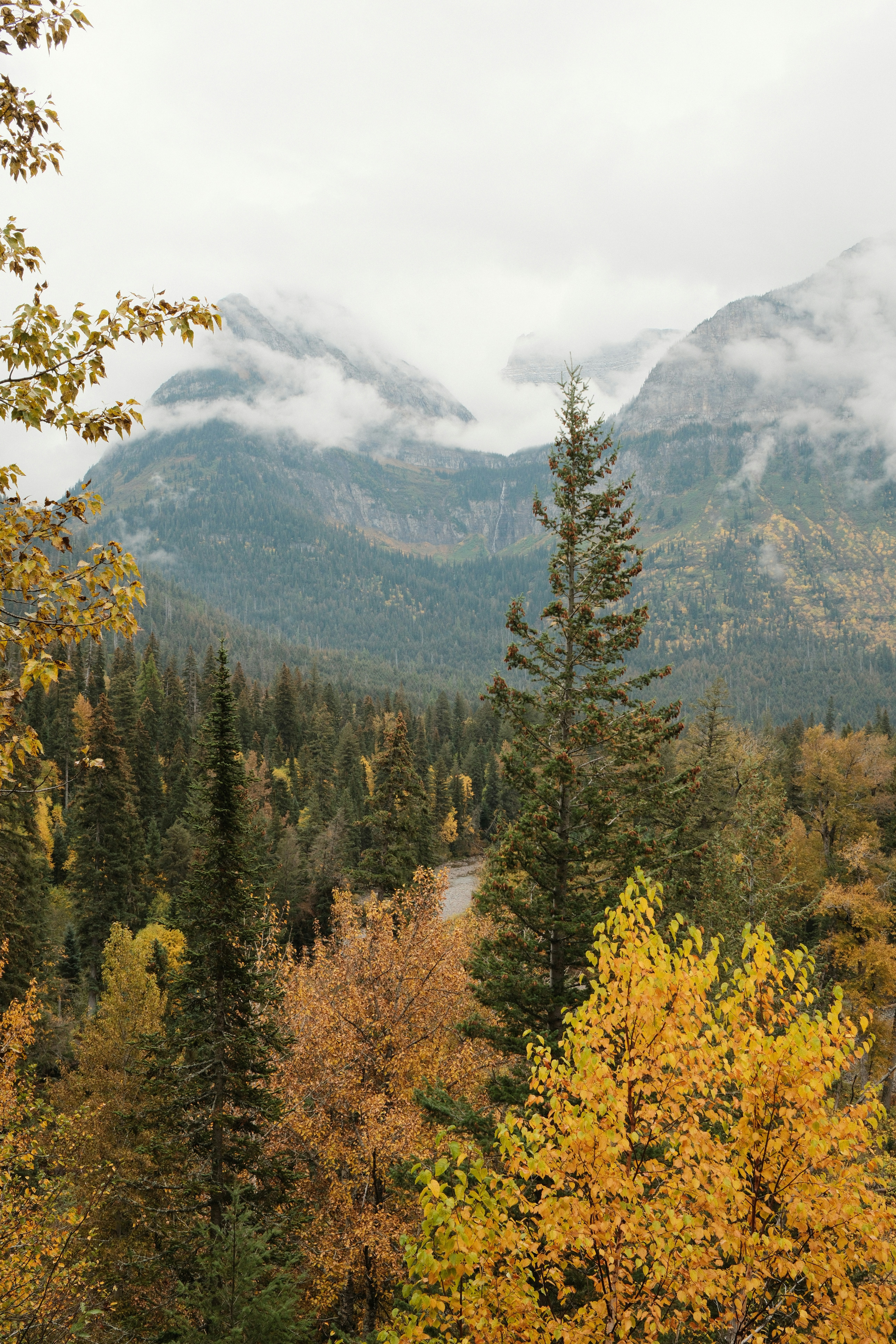 Photo by maliafaithmoore