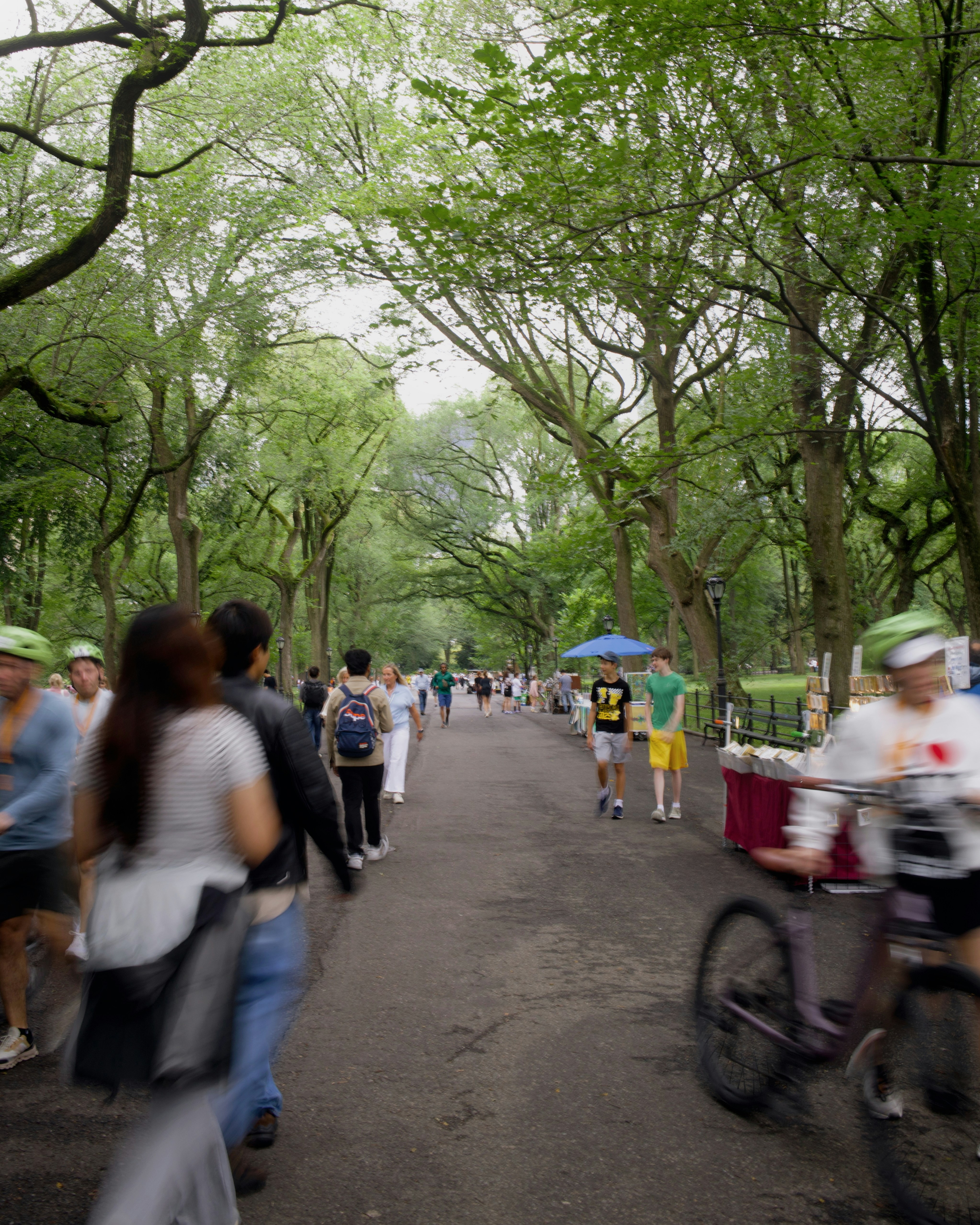16-Week Marathon Training Schedule for NYC Race Day Success