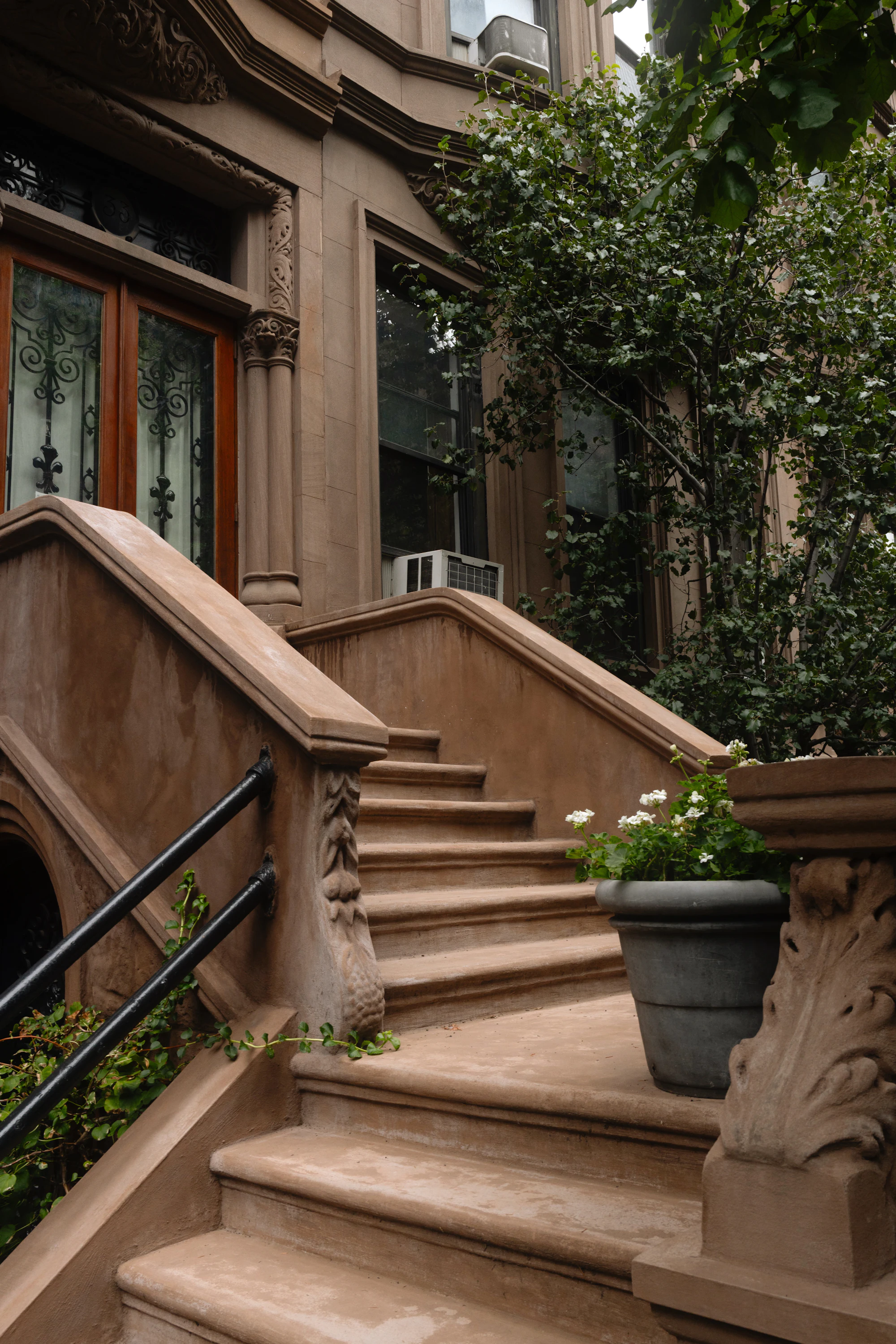 A brownstone stoop with a potted plant and street trees in leaf.