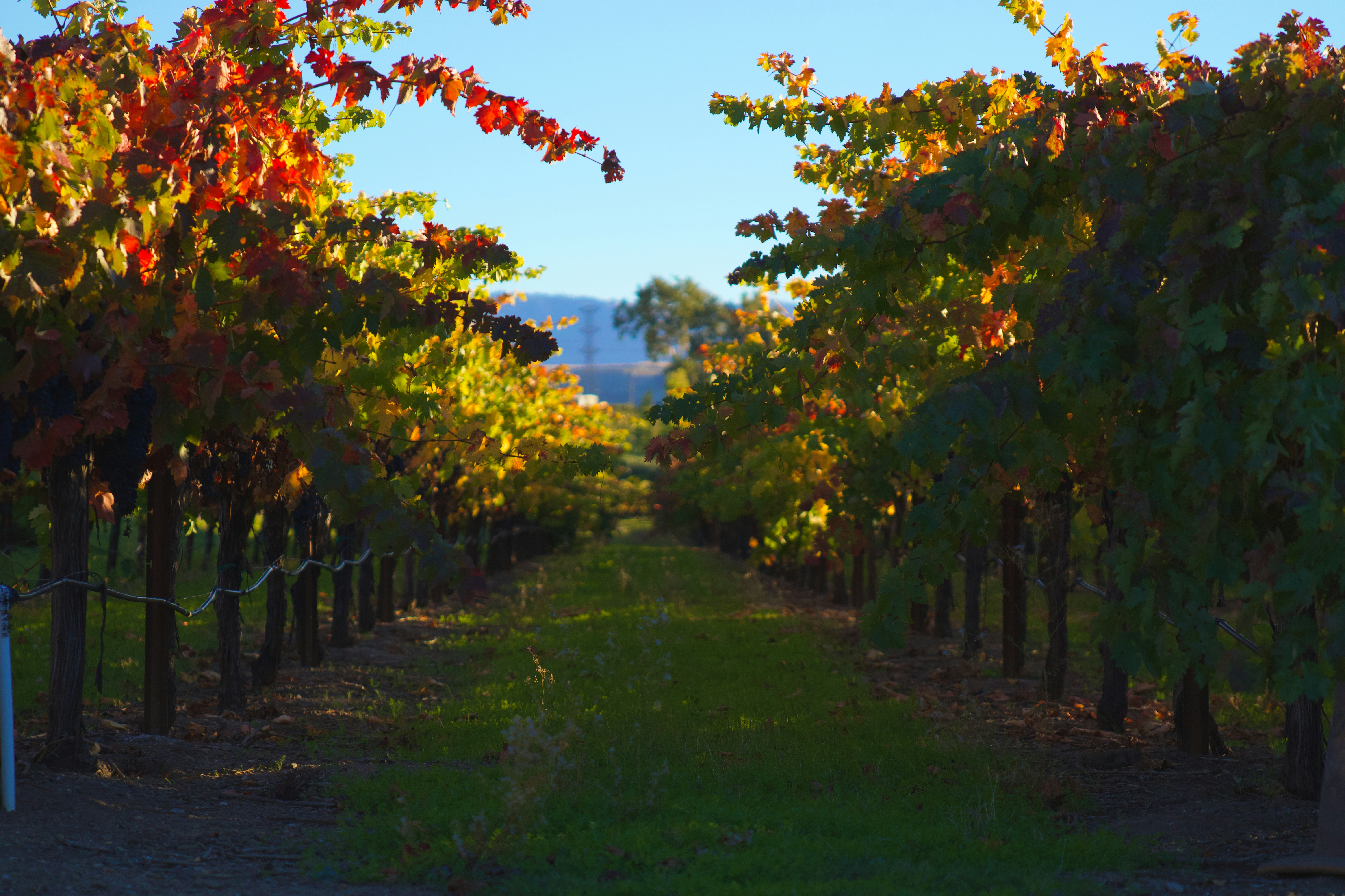 Photo by spencer_demera