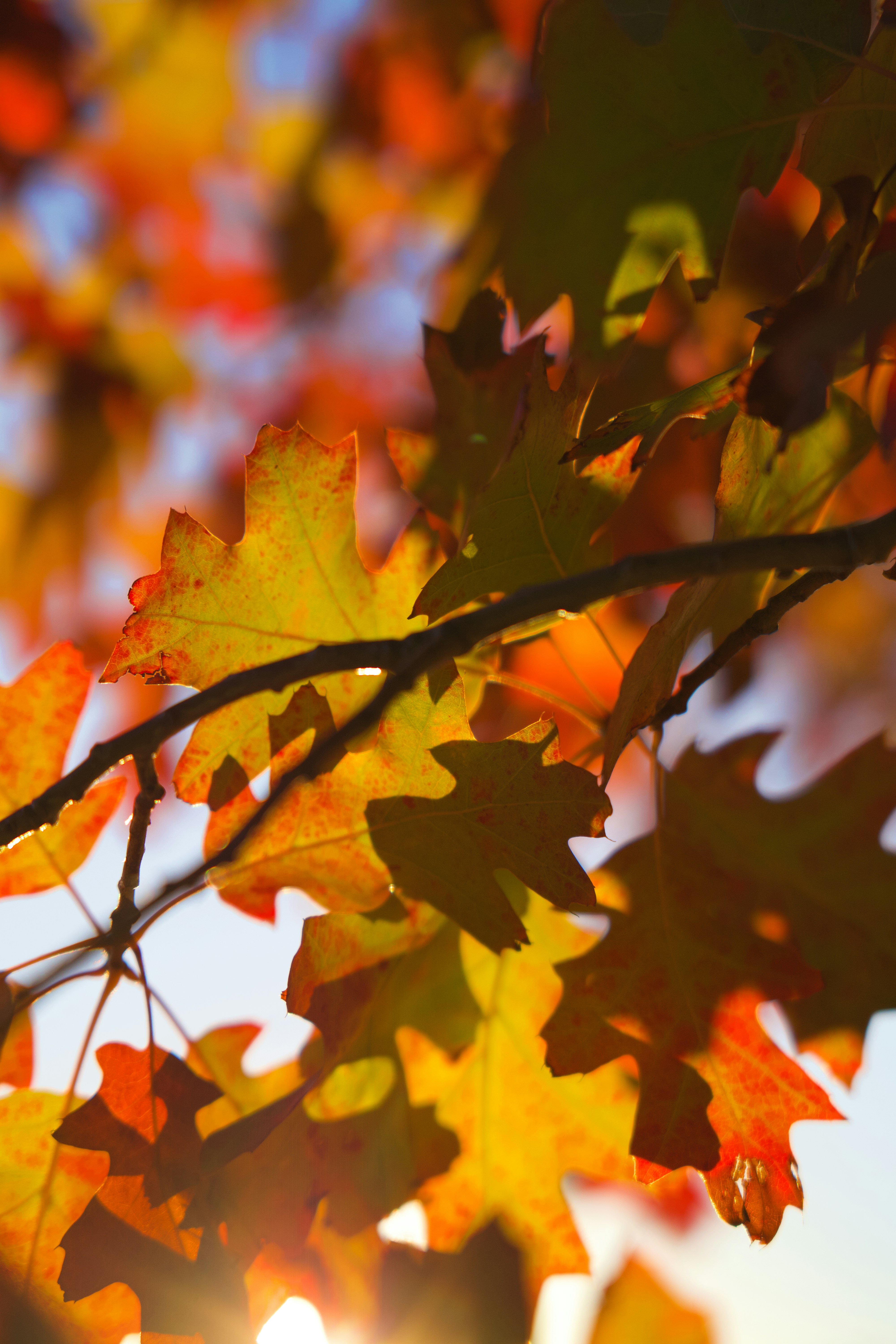 Photo by spencer_demera