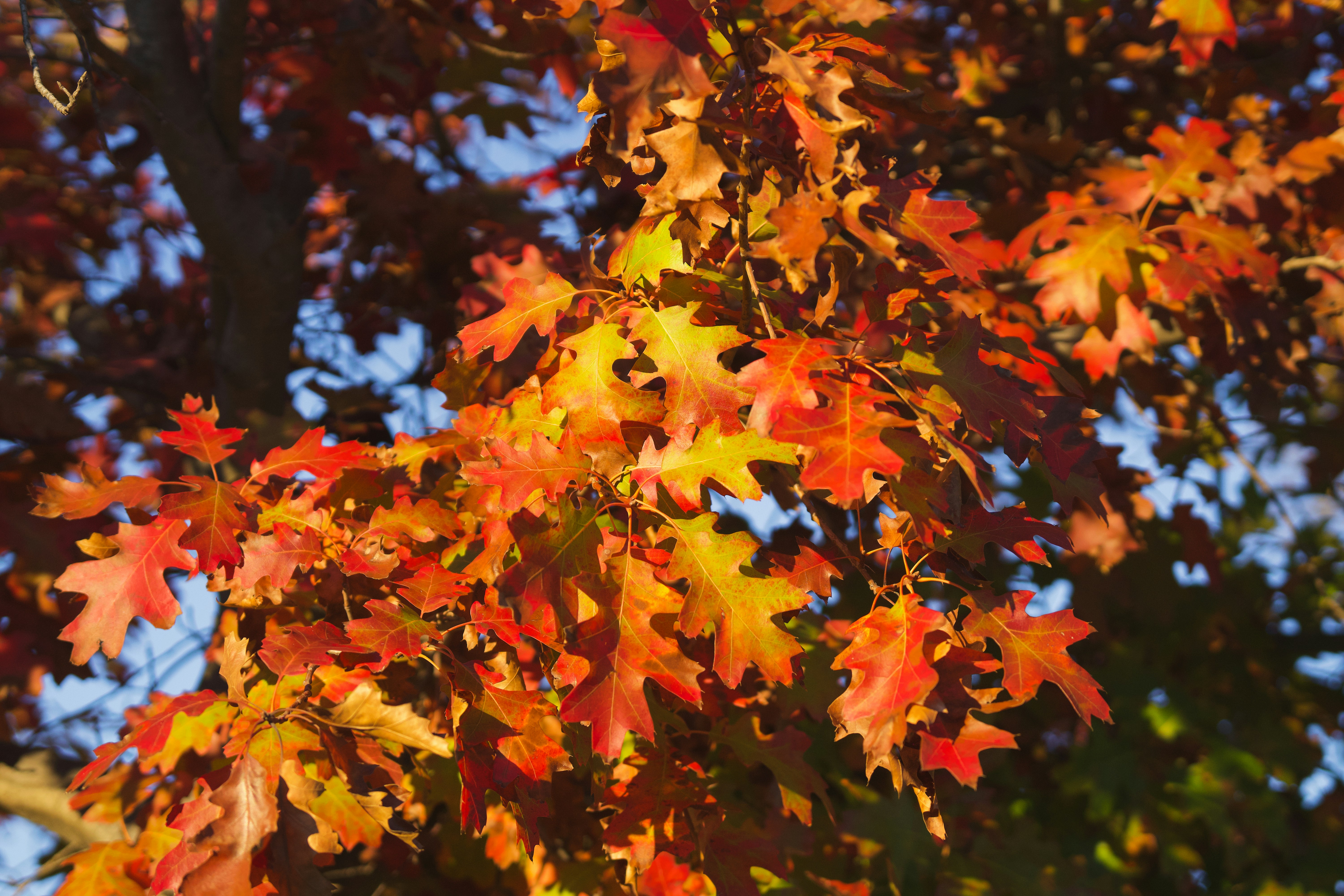 Photo by spencer_demera