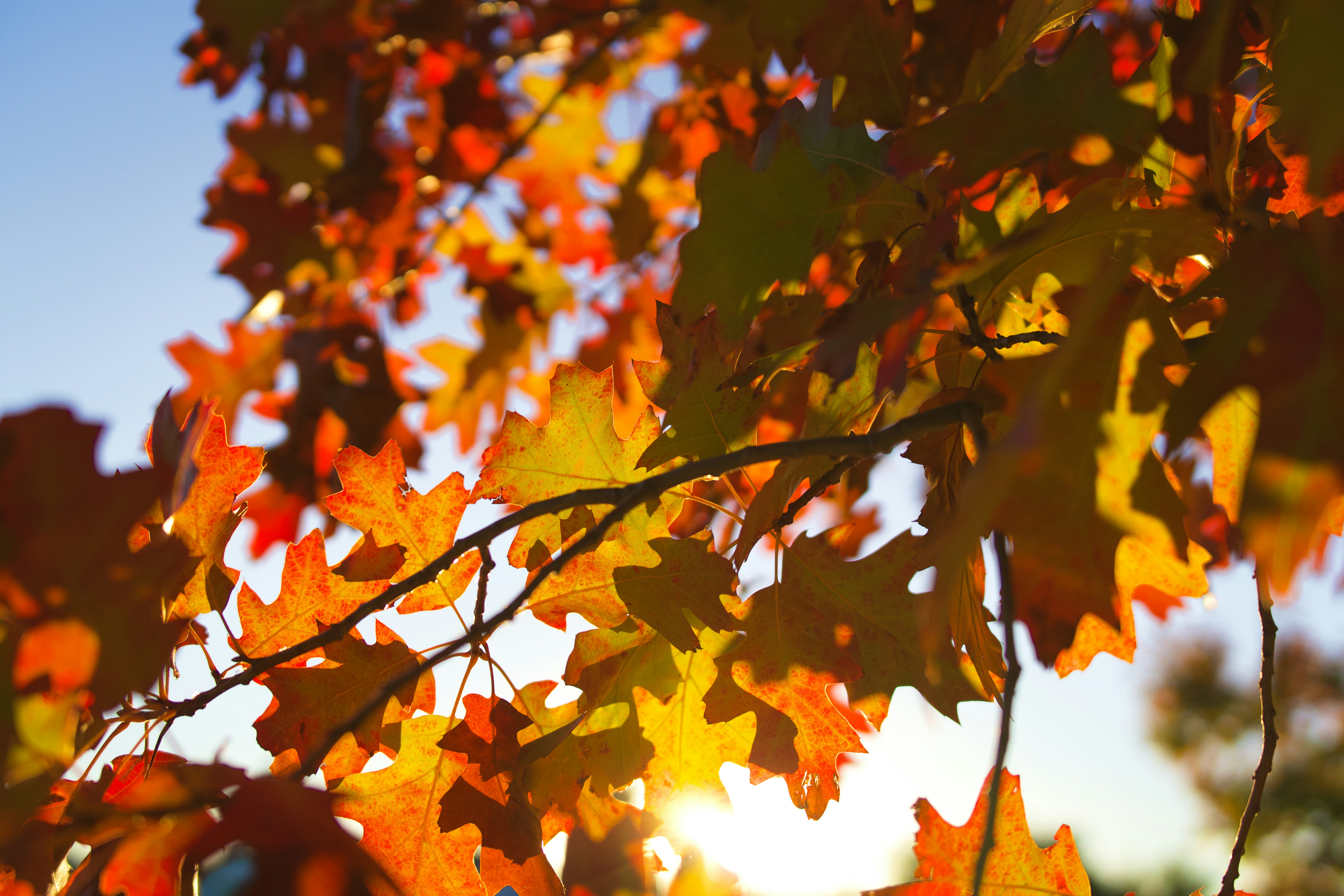 Photo by spencer_demera