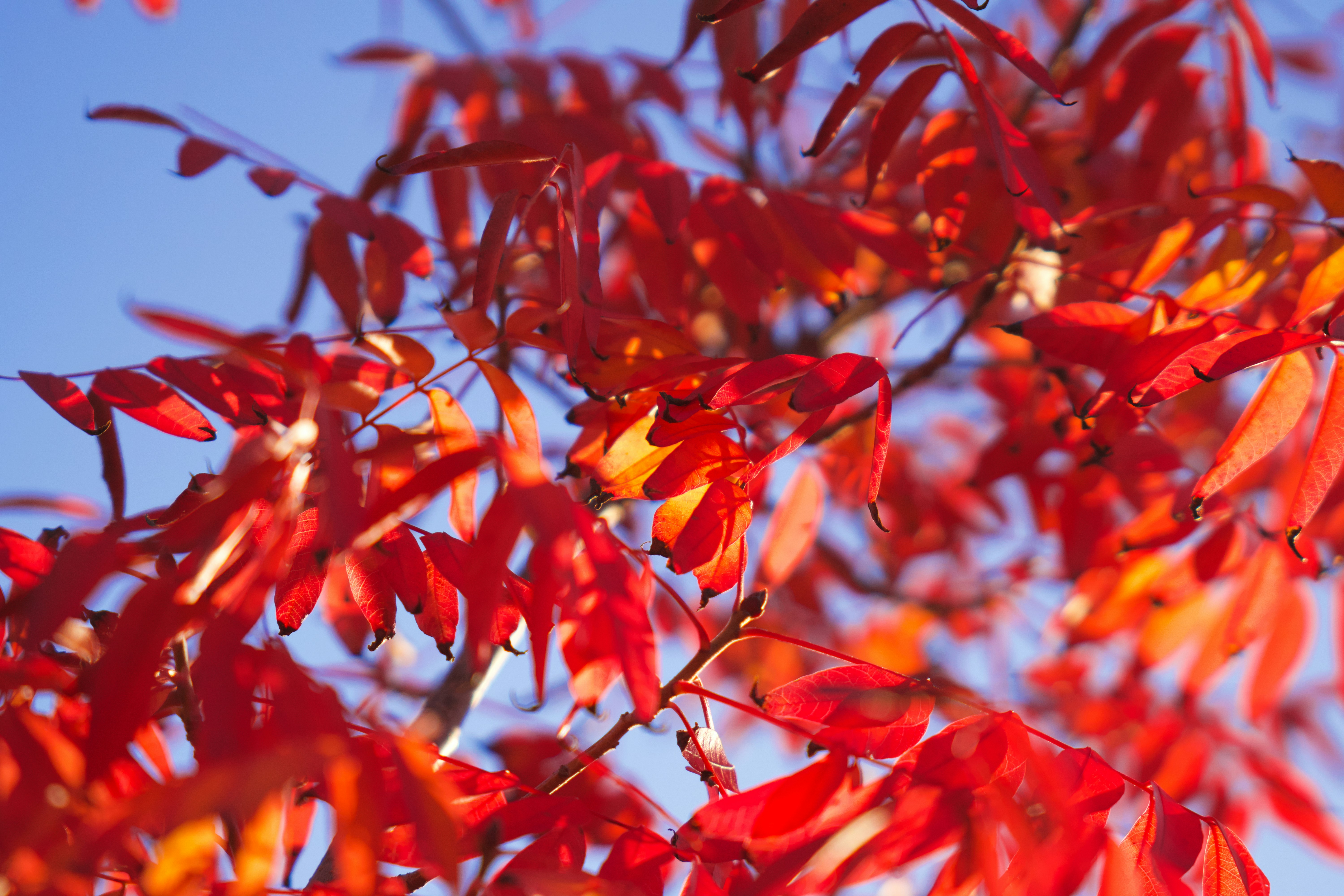 Photo by spencer_demera