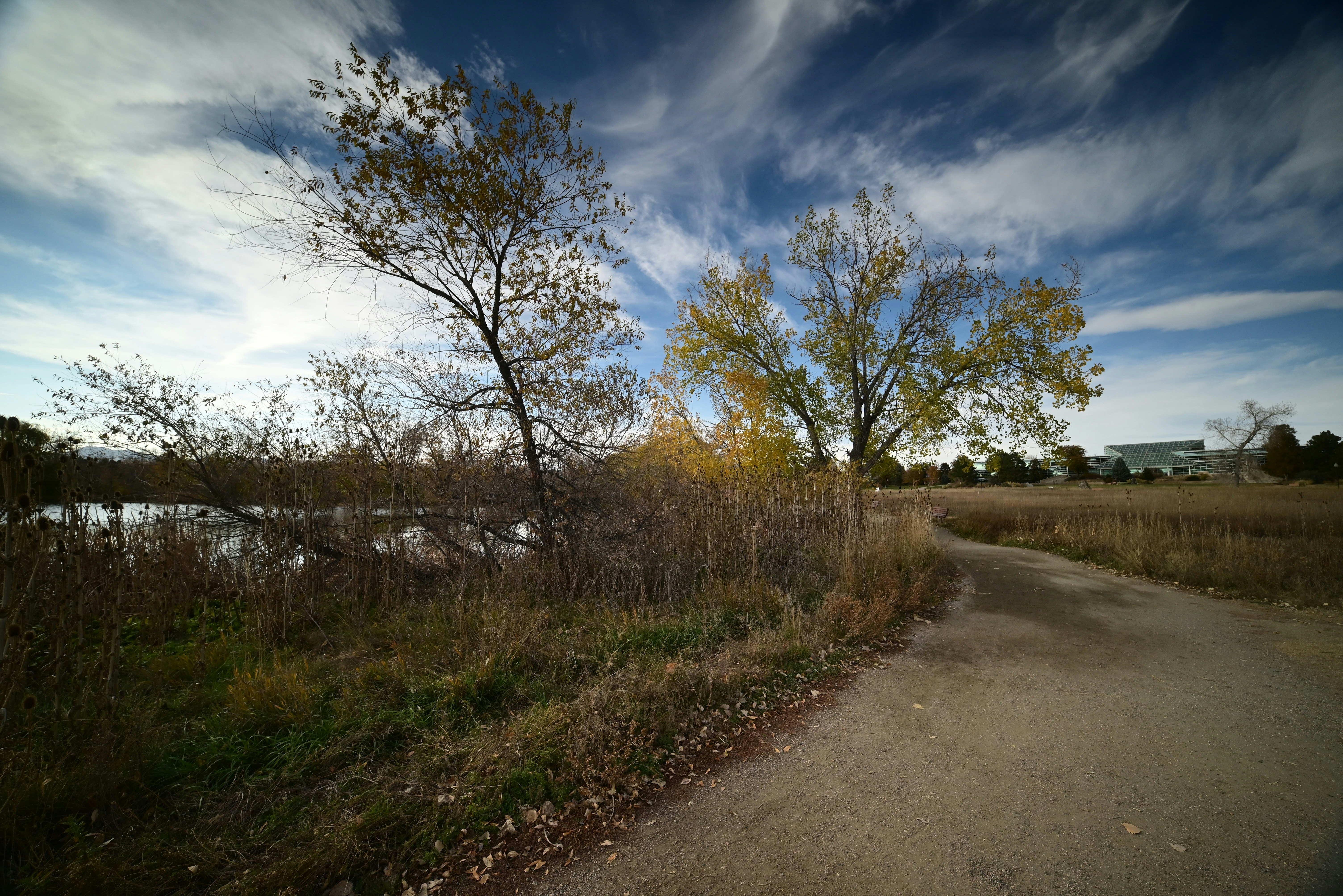 Photo by gennady107