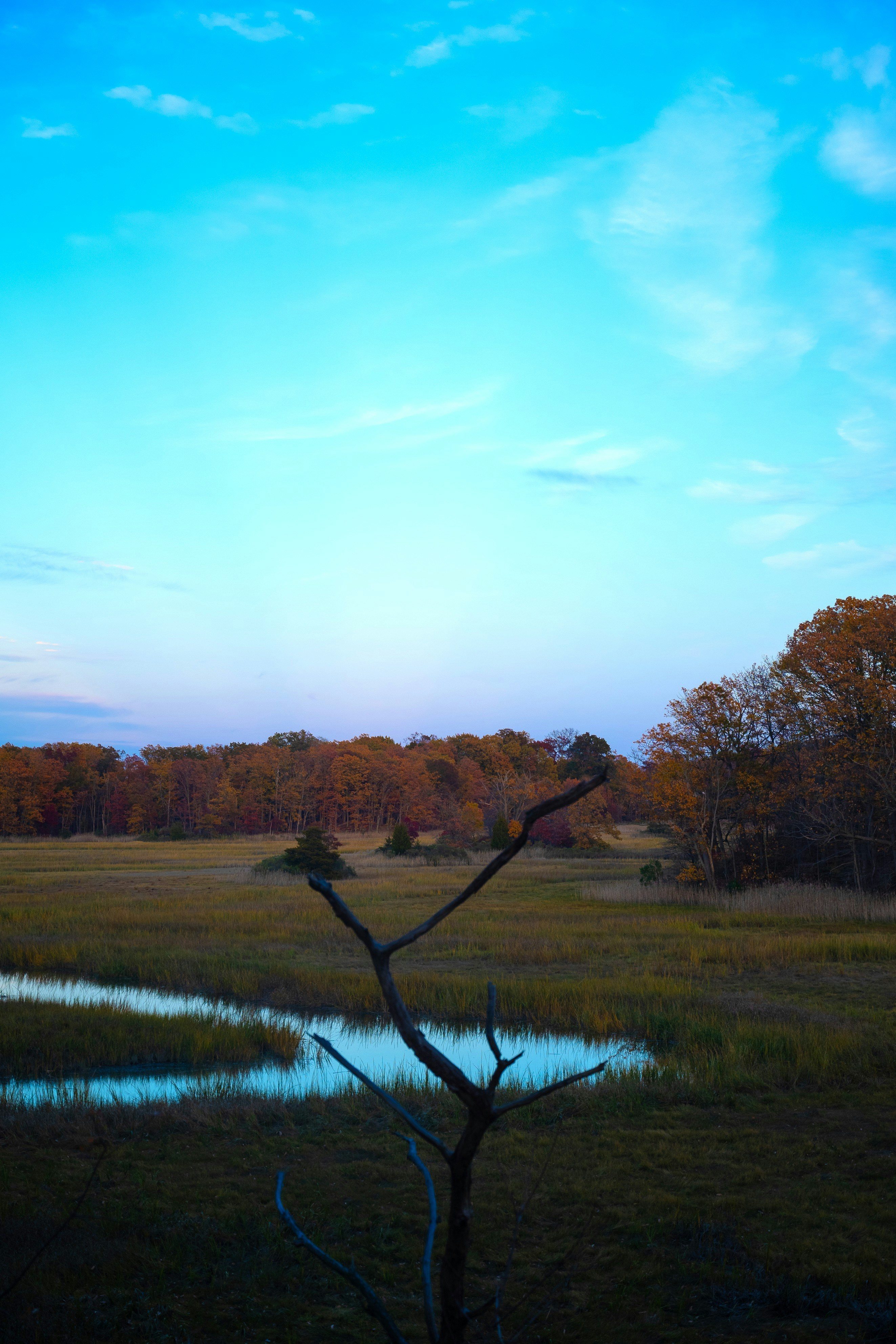 Photo by asphotographypics